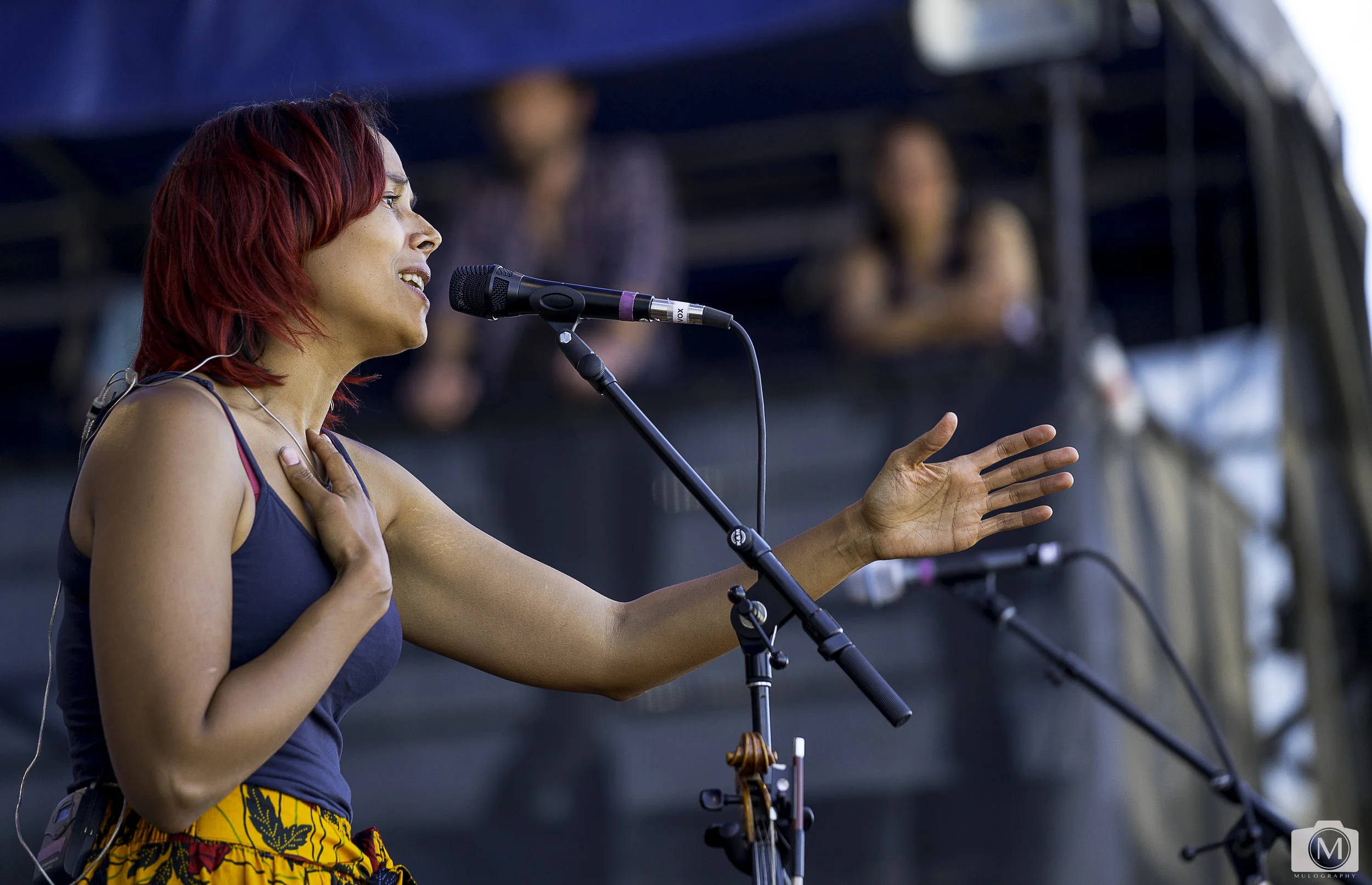 7 Rhiannon Giddens 1.jpg