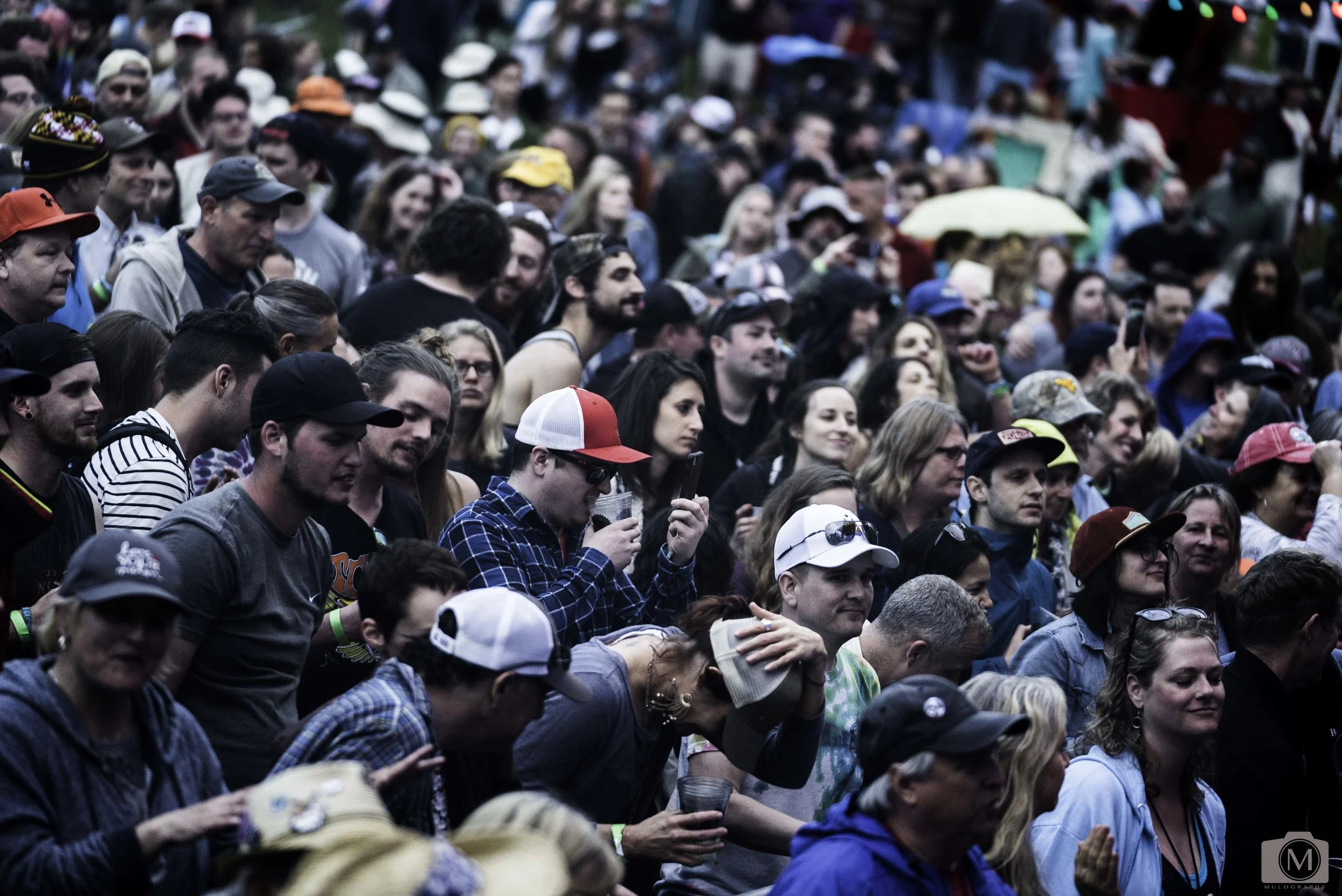 Charm City Bluegrass Low Rez-182.jpg