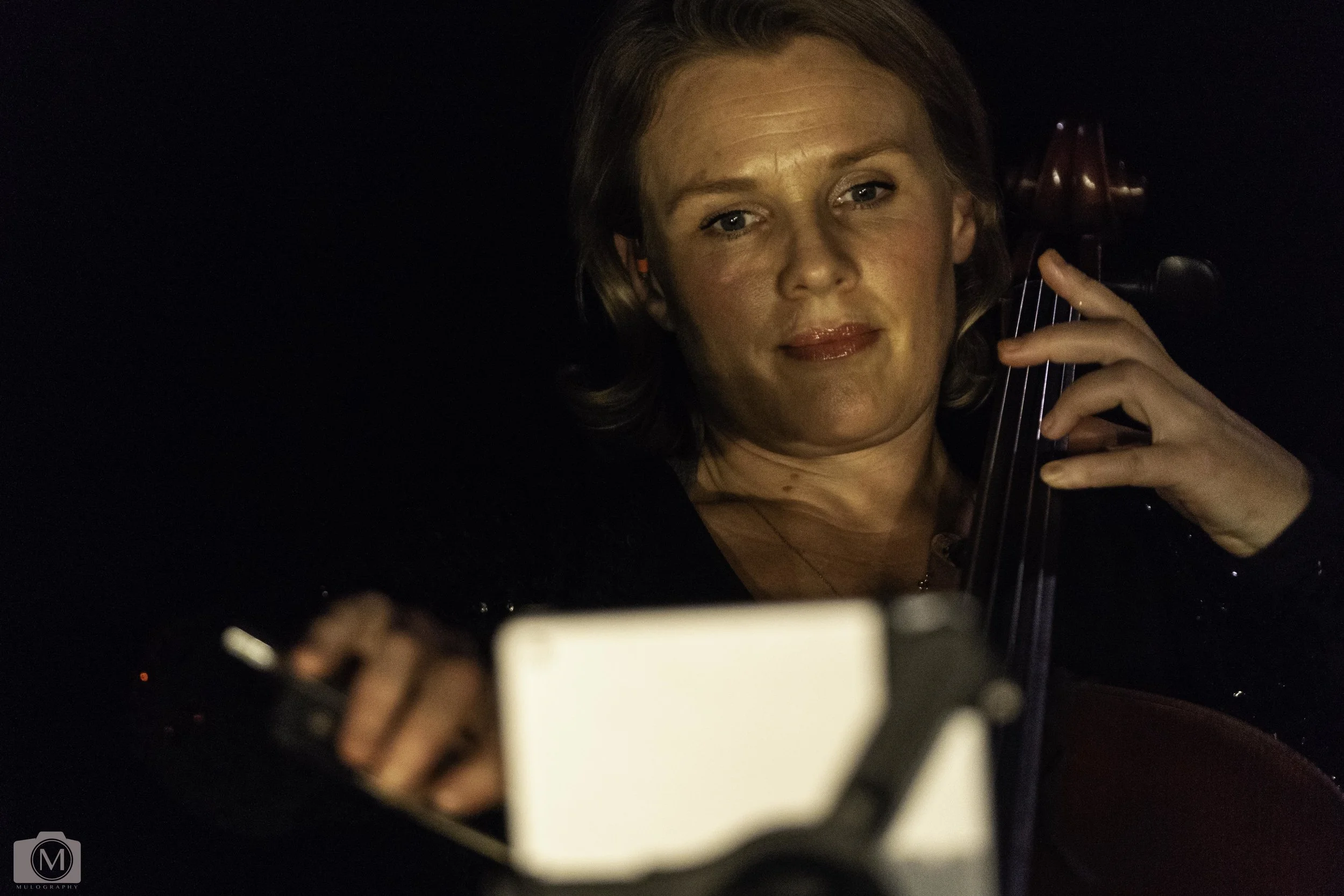 Glen Vicar St 2-5.jpg