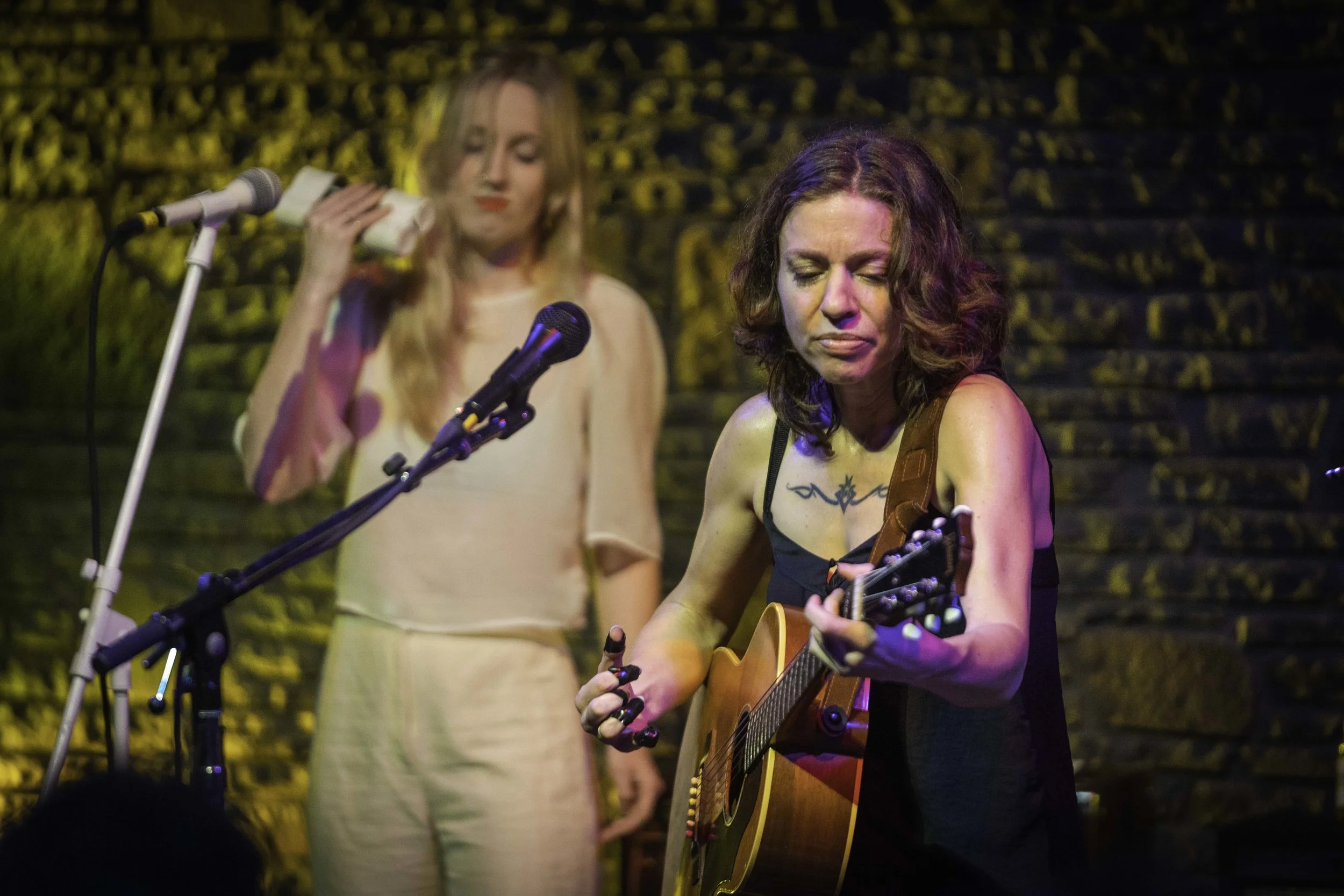 Ani DiFranco-30.jpg
