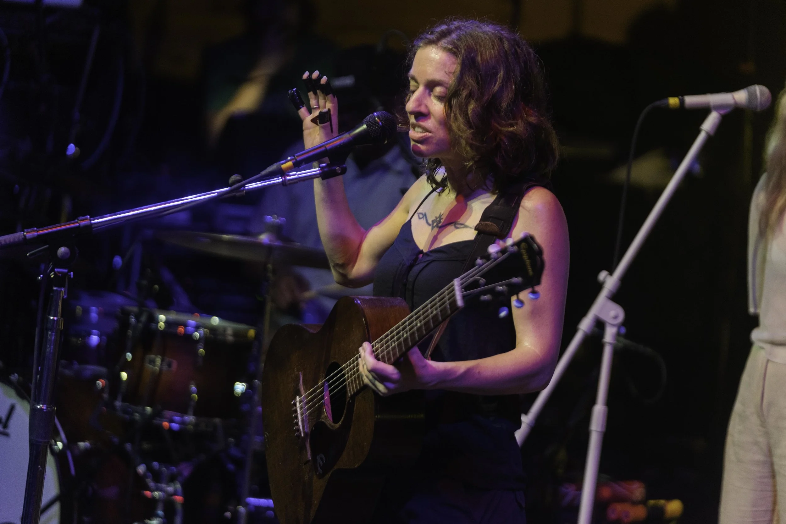Ani DiFranco-37.jpg