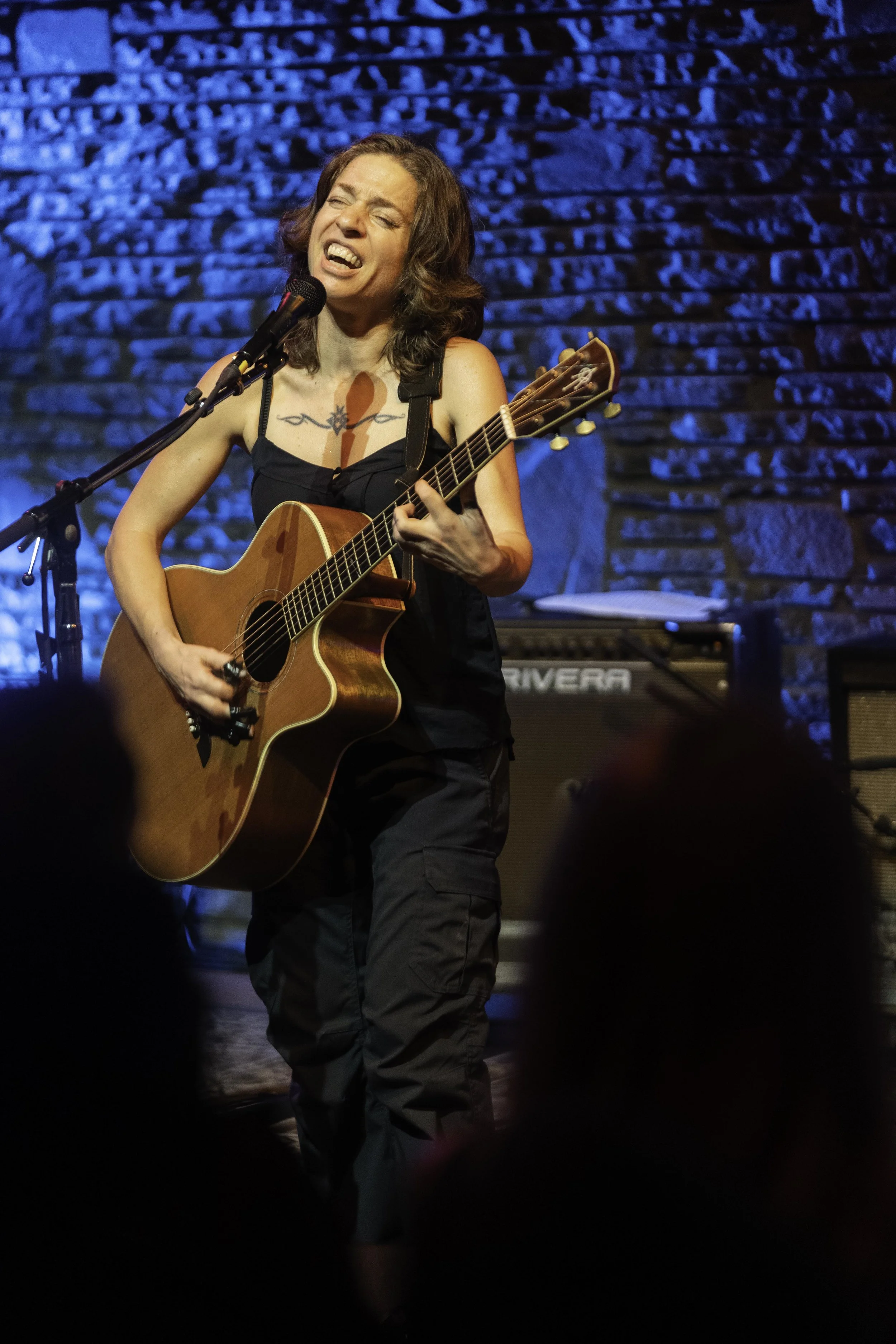Ani DiFranco-14.jpg