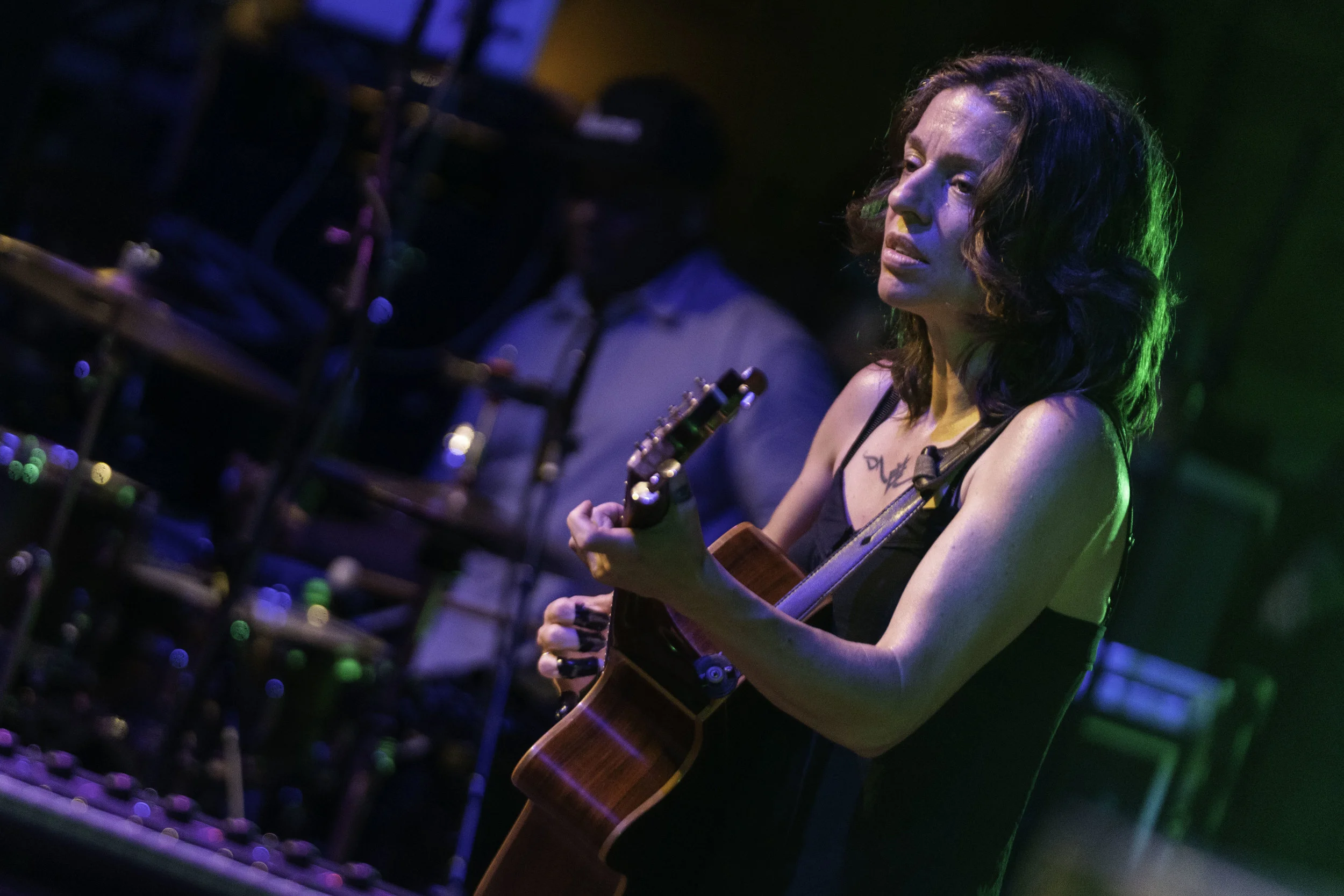 Ani DiFranco-16.jpg