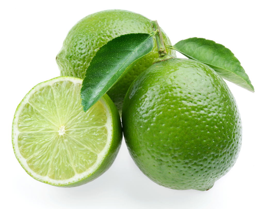 Persian Lime - America's favorite lime variety