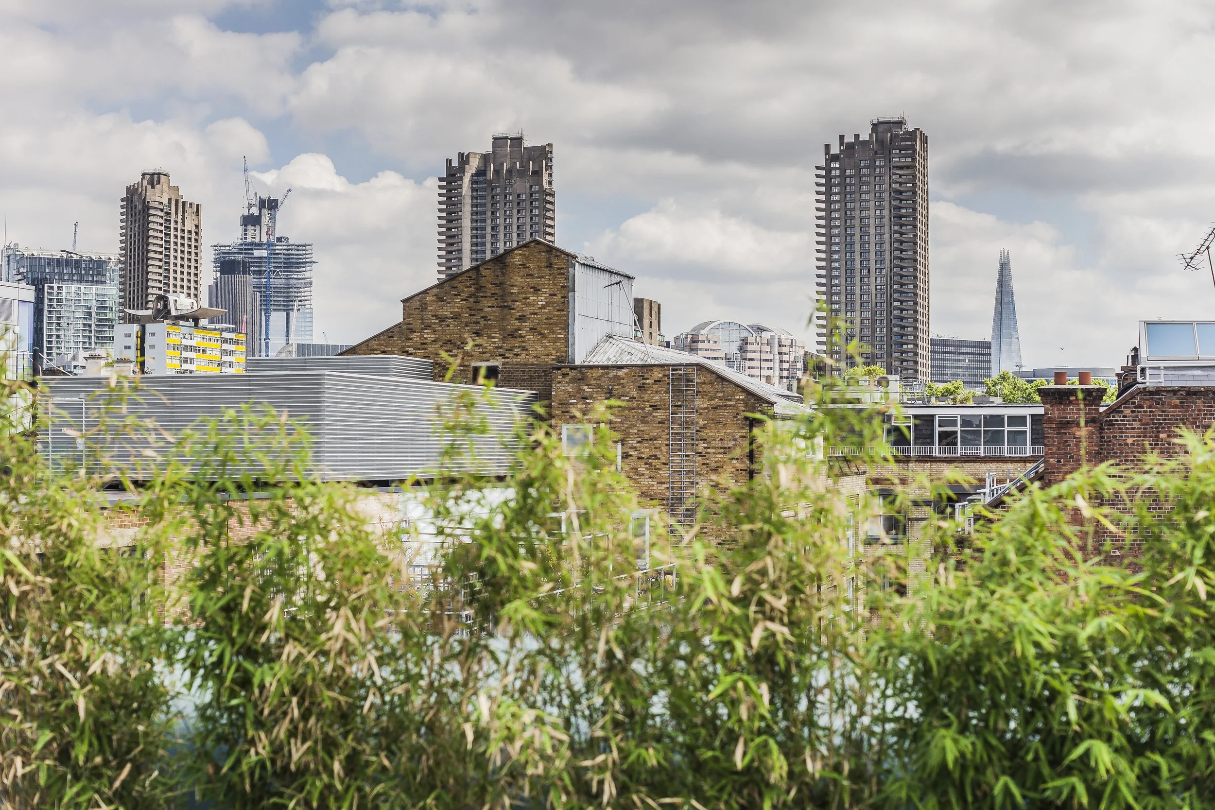 Fora_Dallington_Final Edit237.JPG