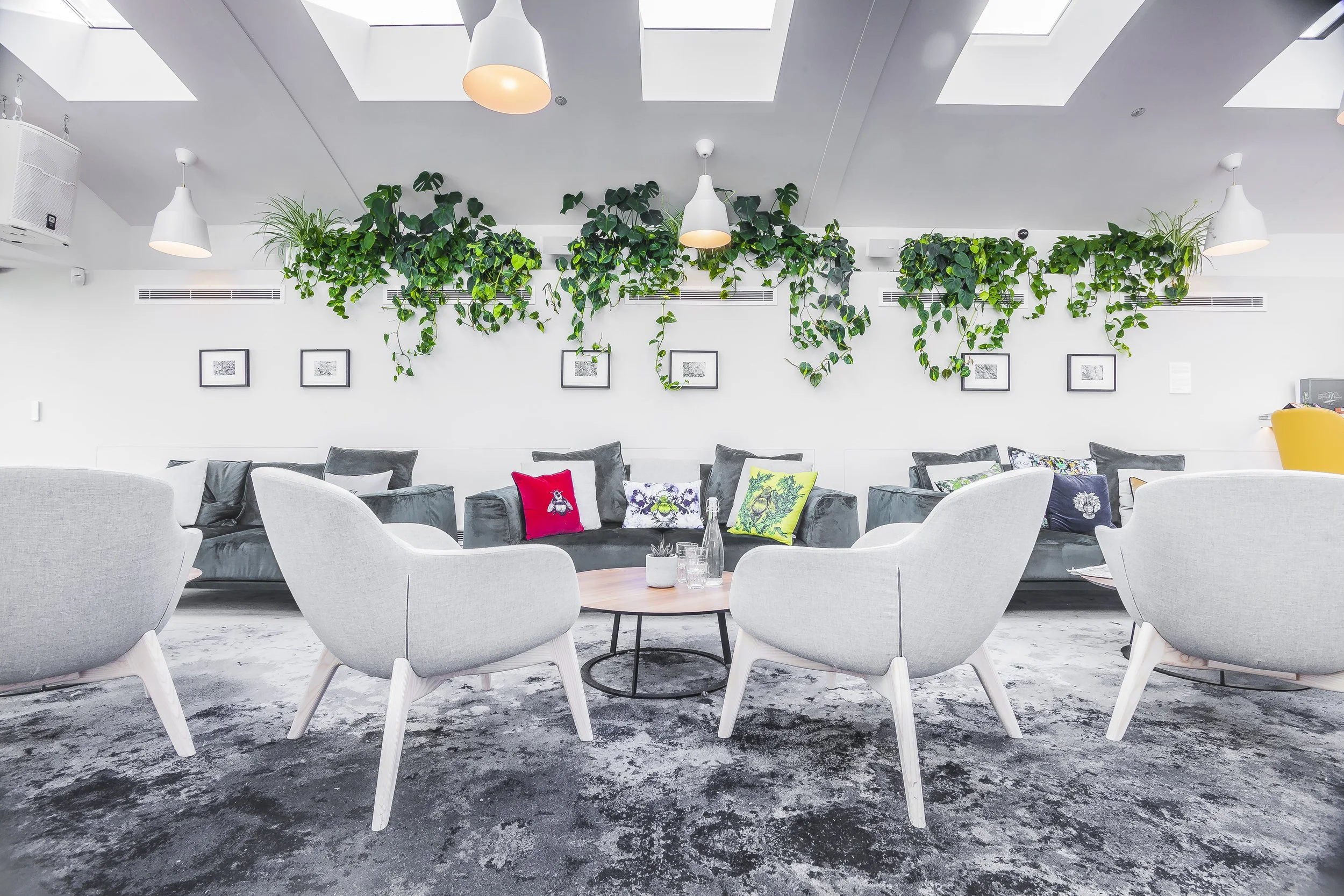 Fora_Dallington_Final Edit256.JPG