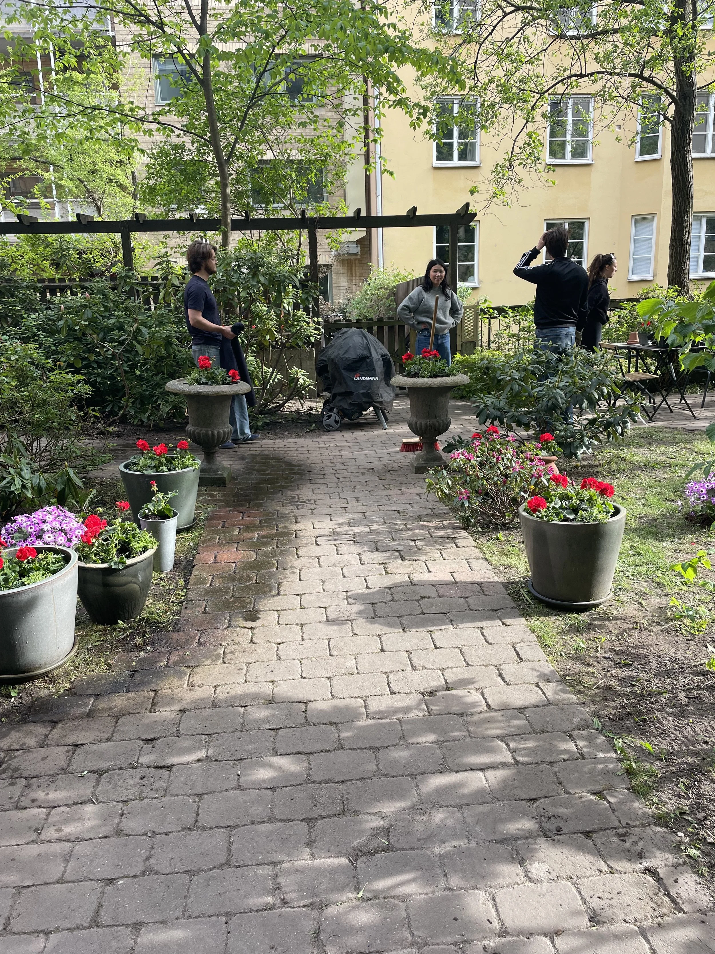 IMG_3990.jpeg