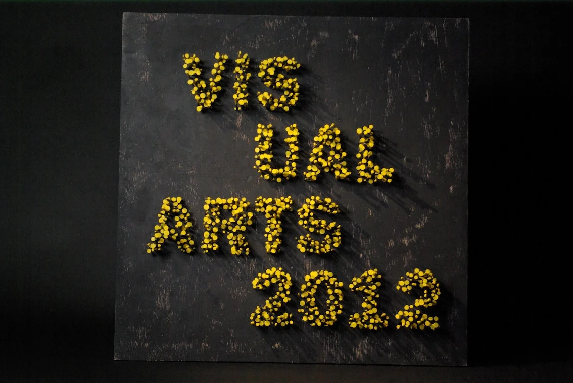 stecav-vis-arts.jpeg