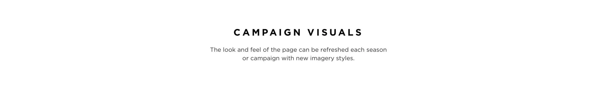07_Campaign_Description.jpg