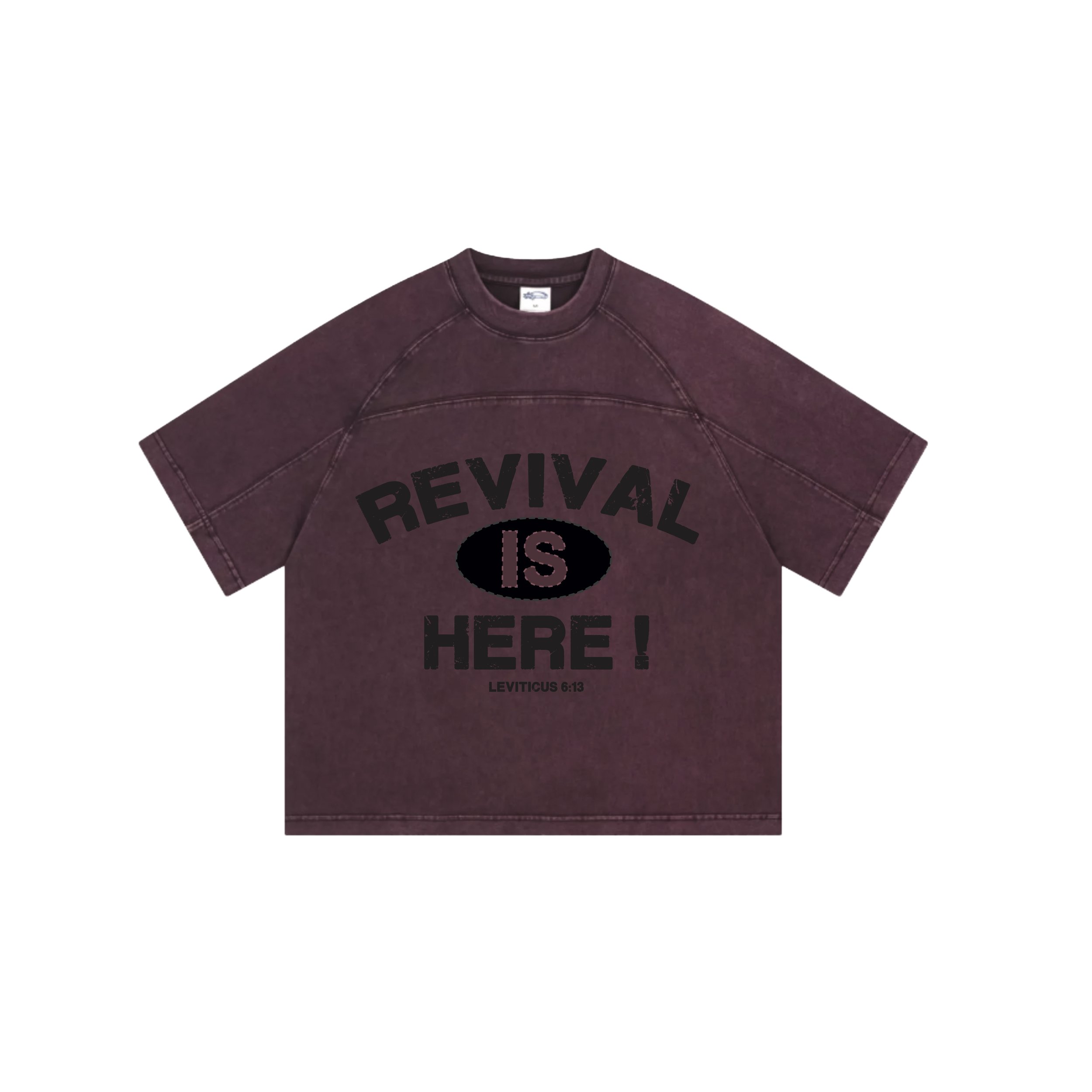 REVIVAL_PURPOSE_REAL_REAL_IMAGES.jpg