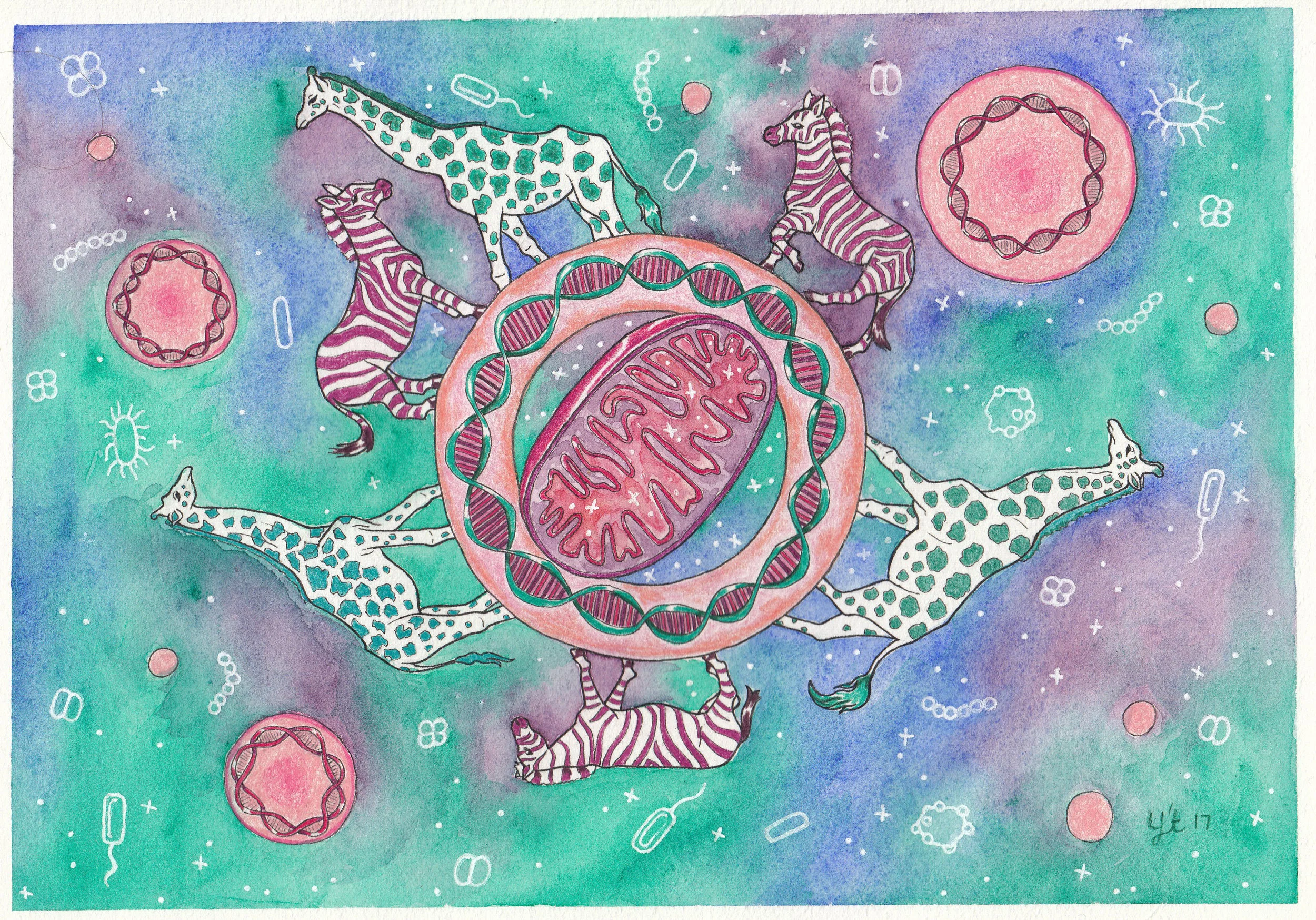 Mitochondria Meditation