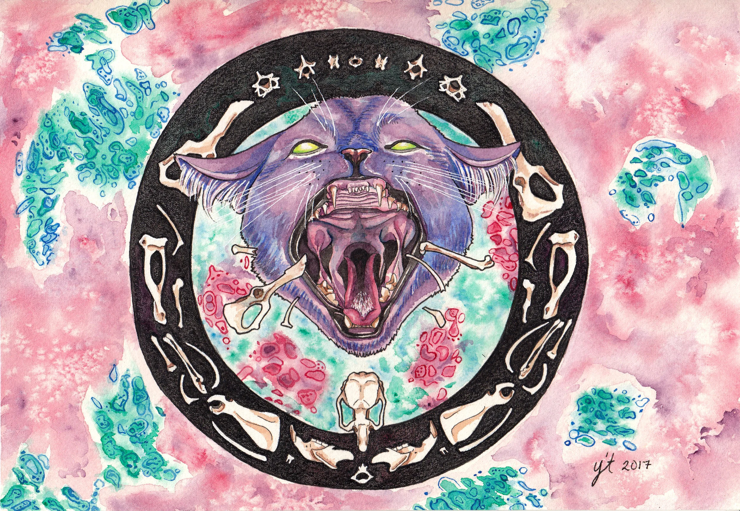Toxoplasmosis