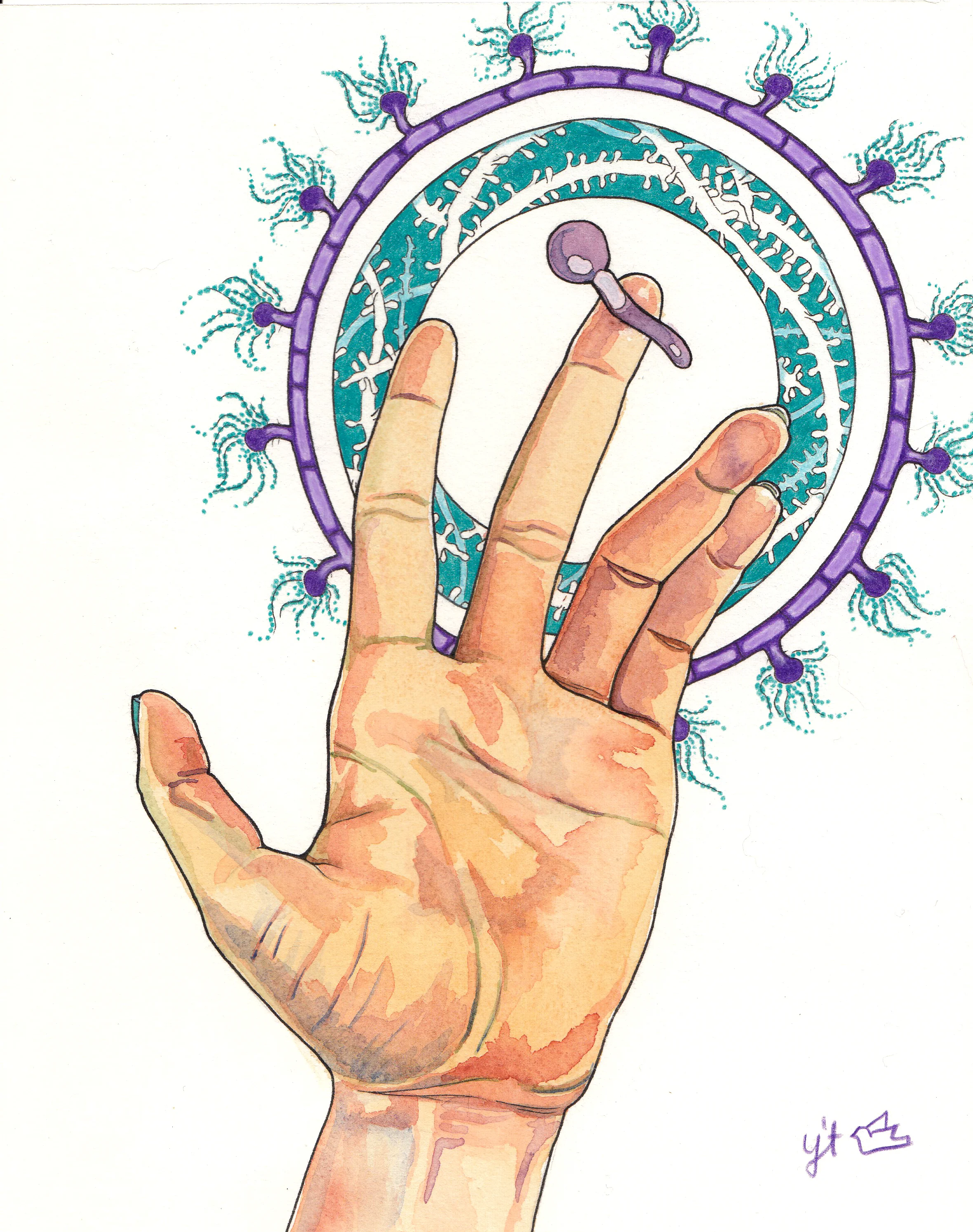 Microflora Meditation 3