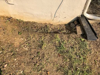 low area next to house.jpg