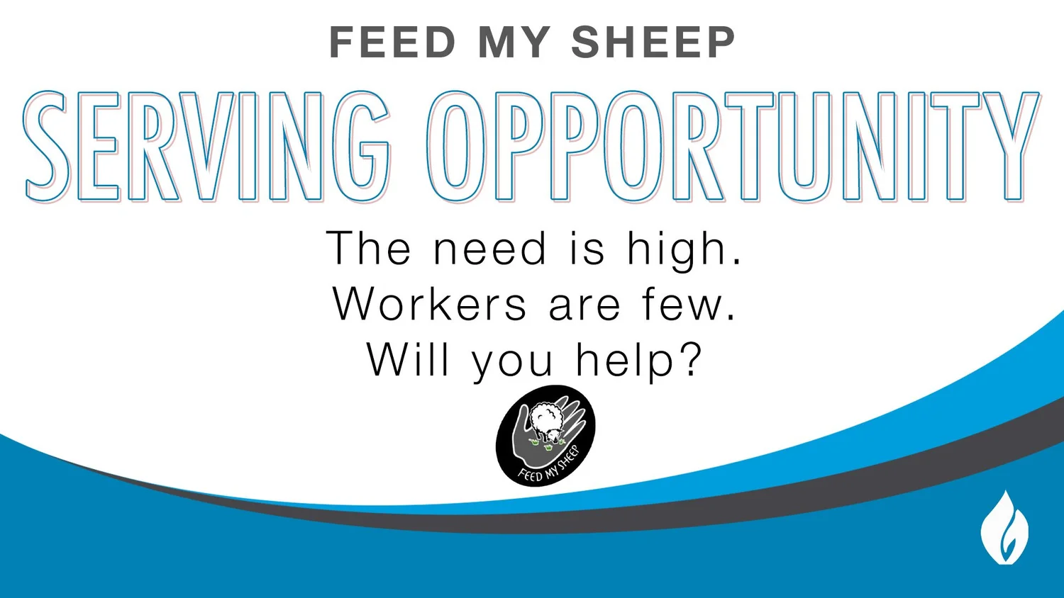 Feed My Sheep