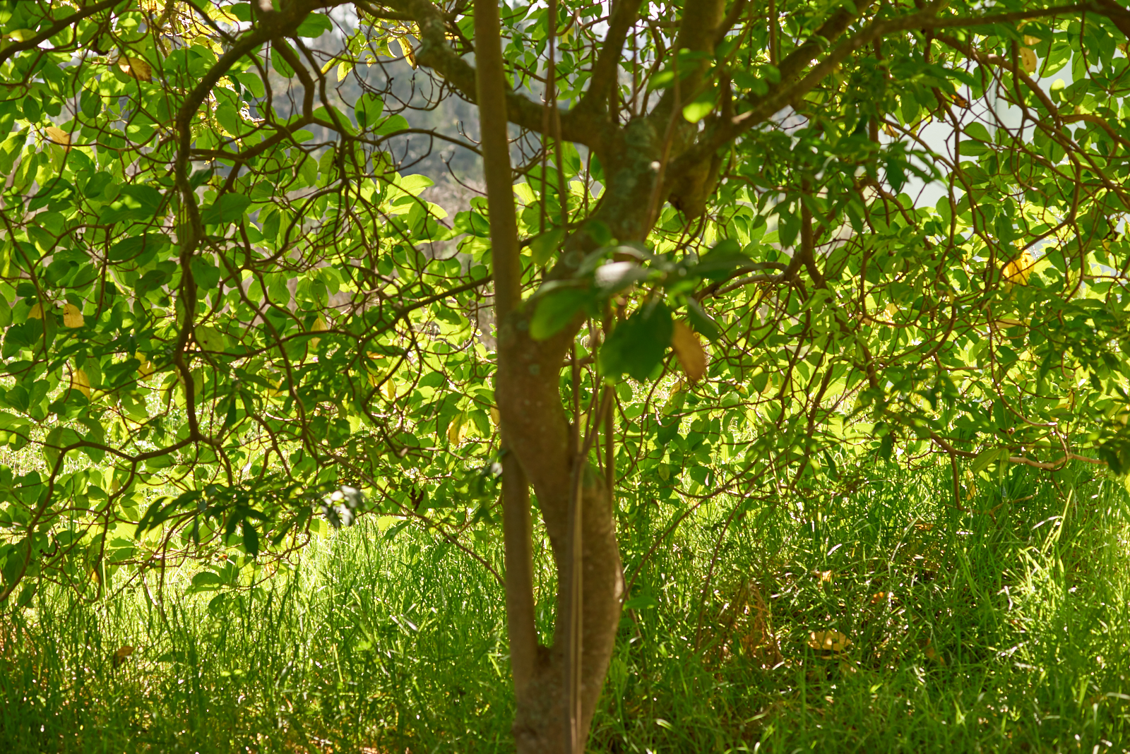 babariascout_048.jpg