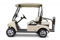 Neighborhood electric vehicles sneak under the radar