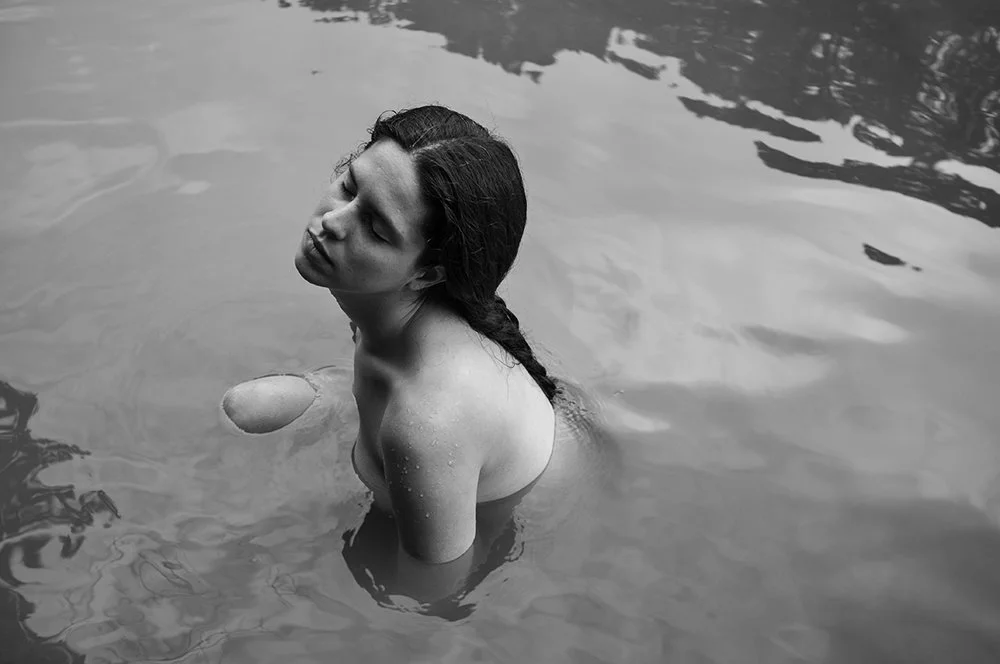 chip willis