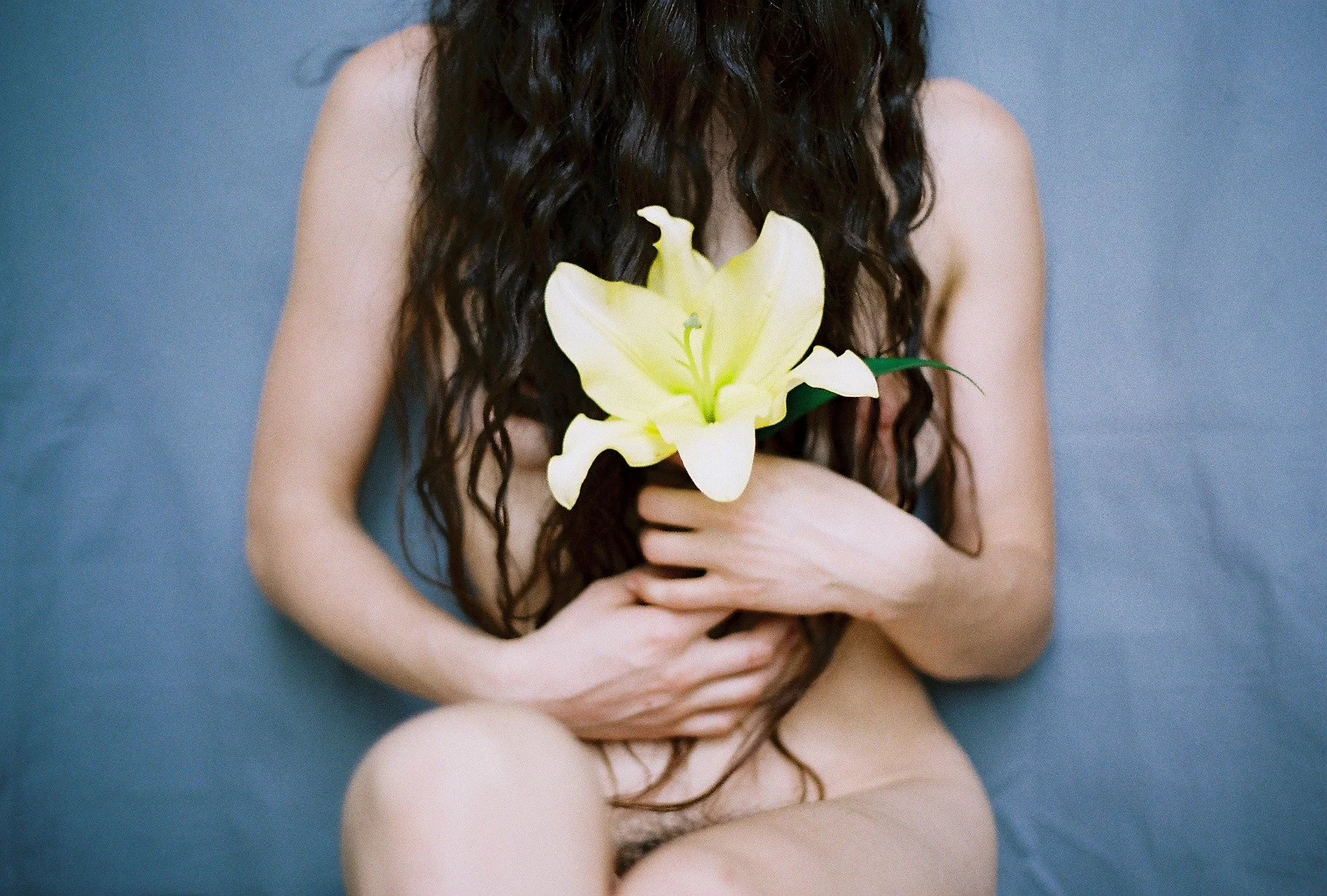 ash larose