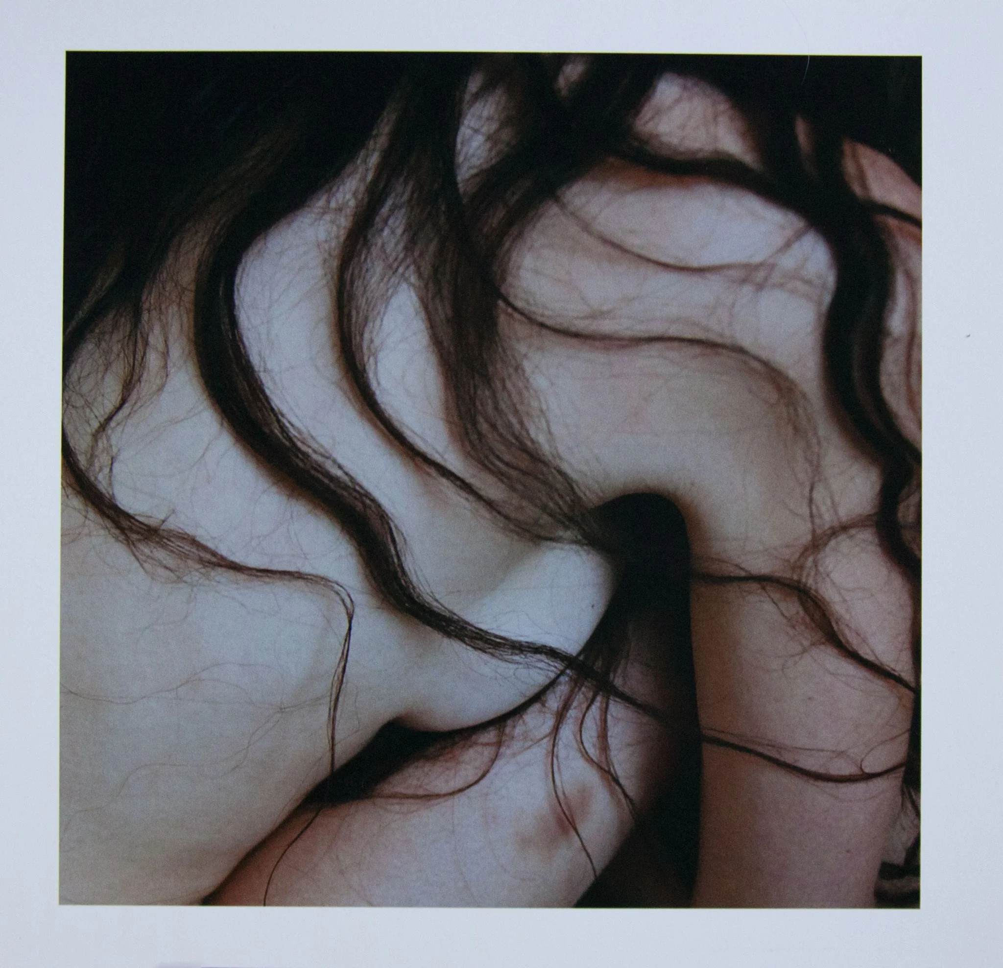 johanna stickland