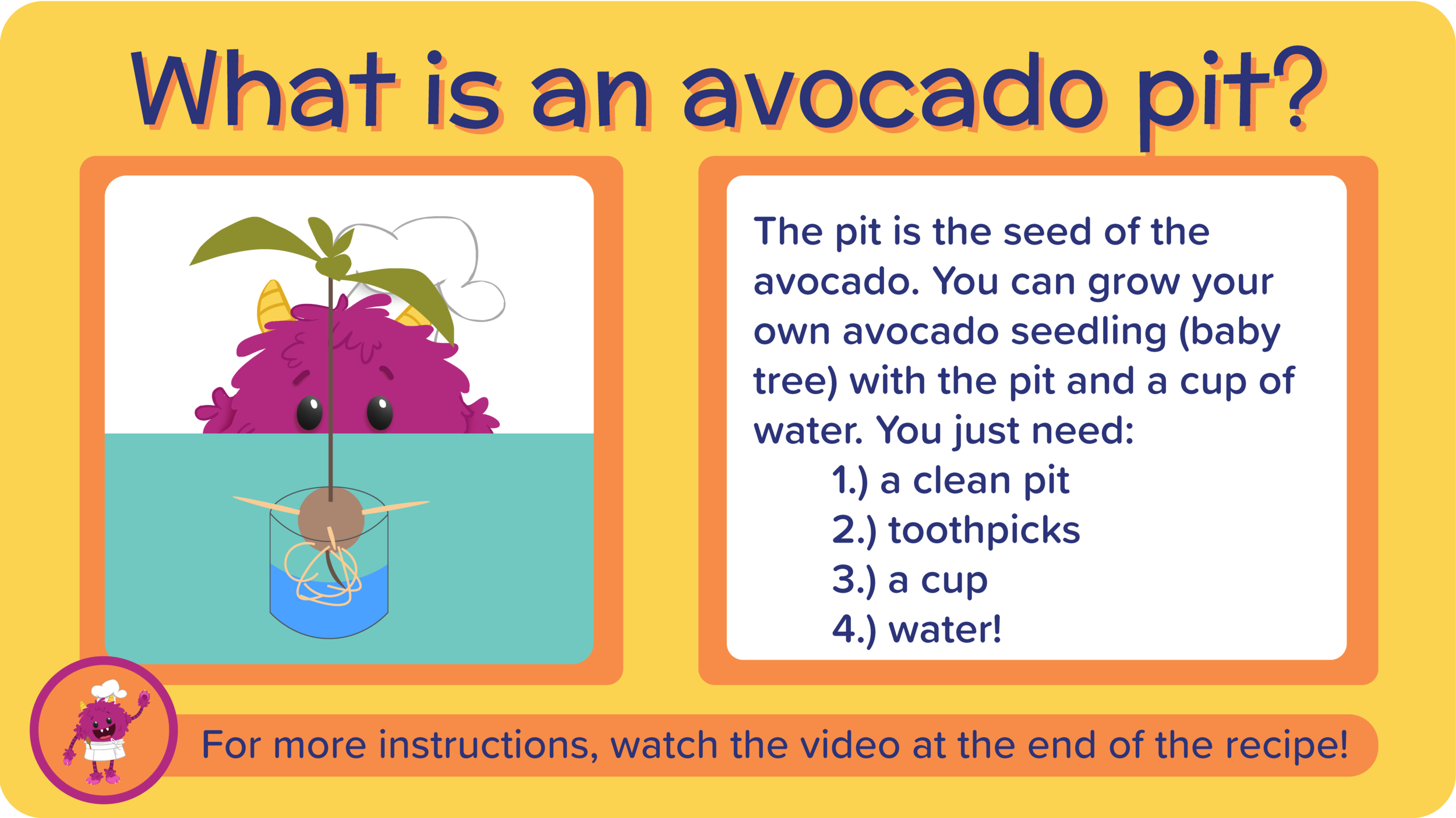 08_GreatGreenGuacamole_what is an avocado pit-01.png