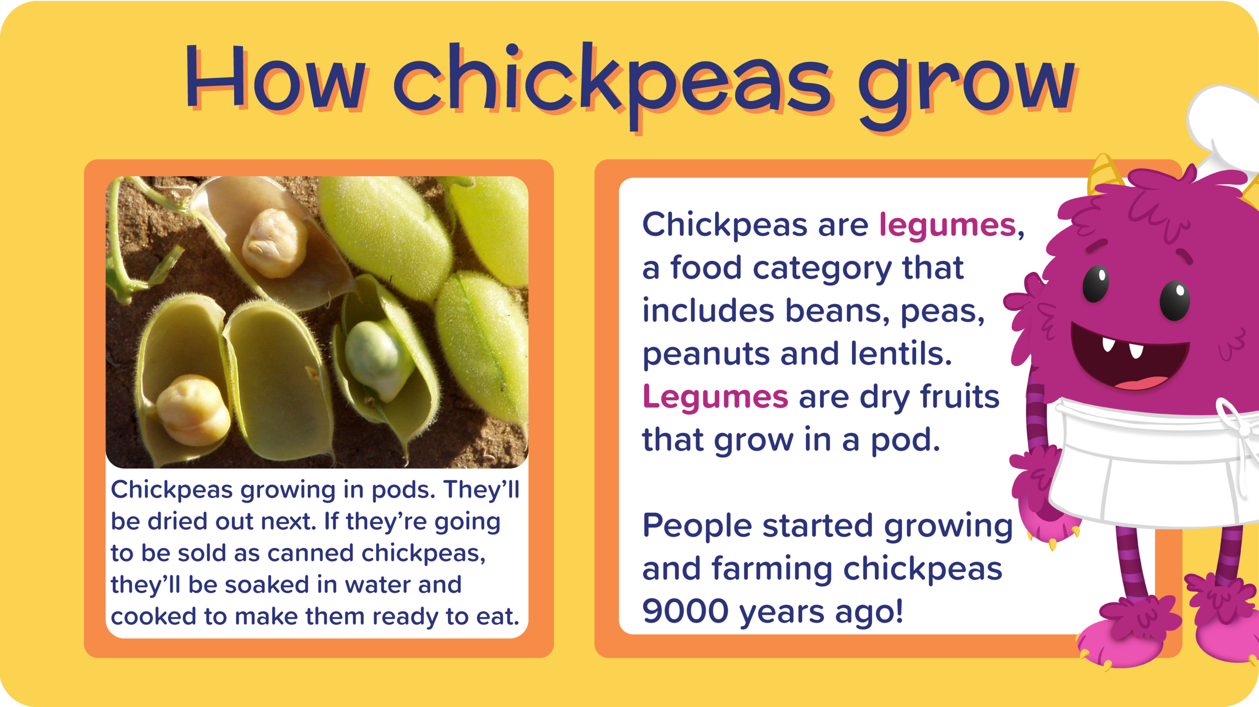 15_FalafelPocketsZingyTzatziki_how chickpeas grow-01.png