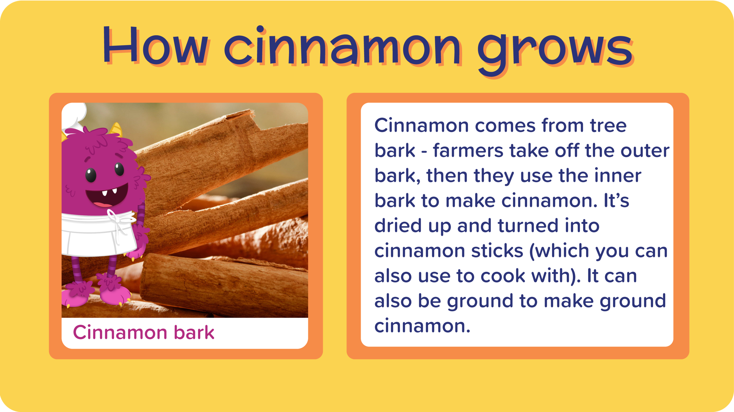 11_BlueberryMugMuffin_about cinnamon-01.png