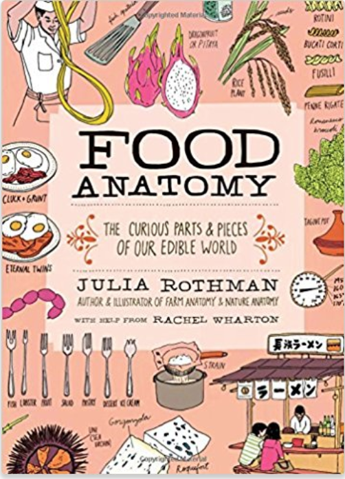 Food Anatomy_food-books-for-kids.png