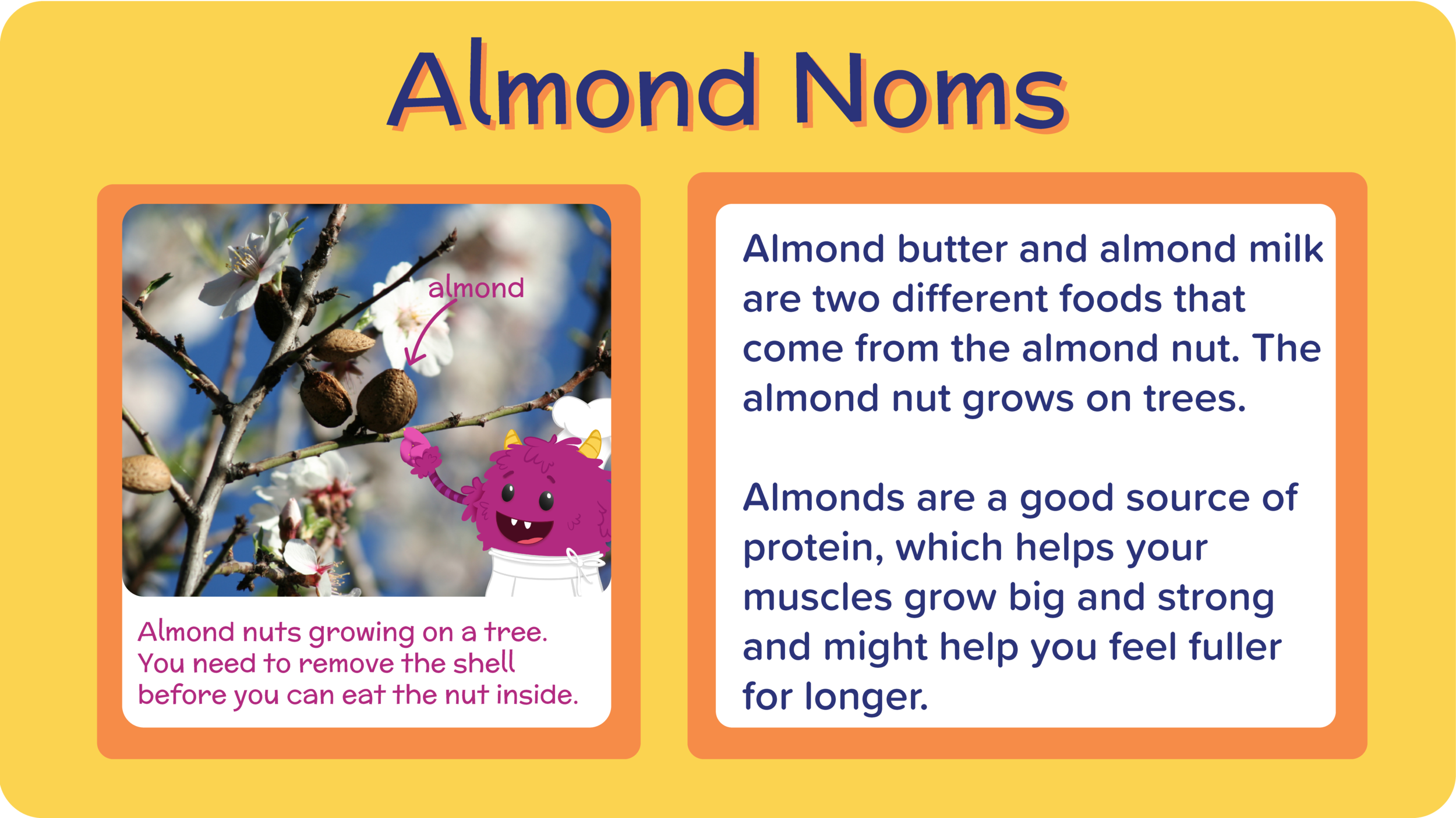 14_Mango Almond Oat Smoothie_all about almonds-01.png