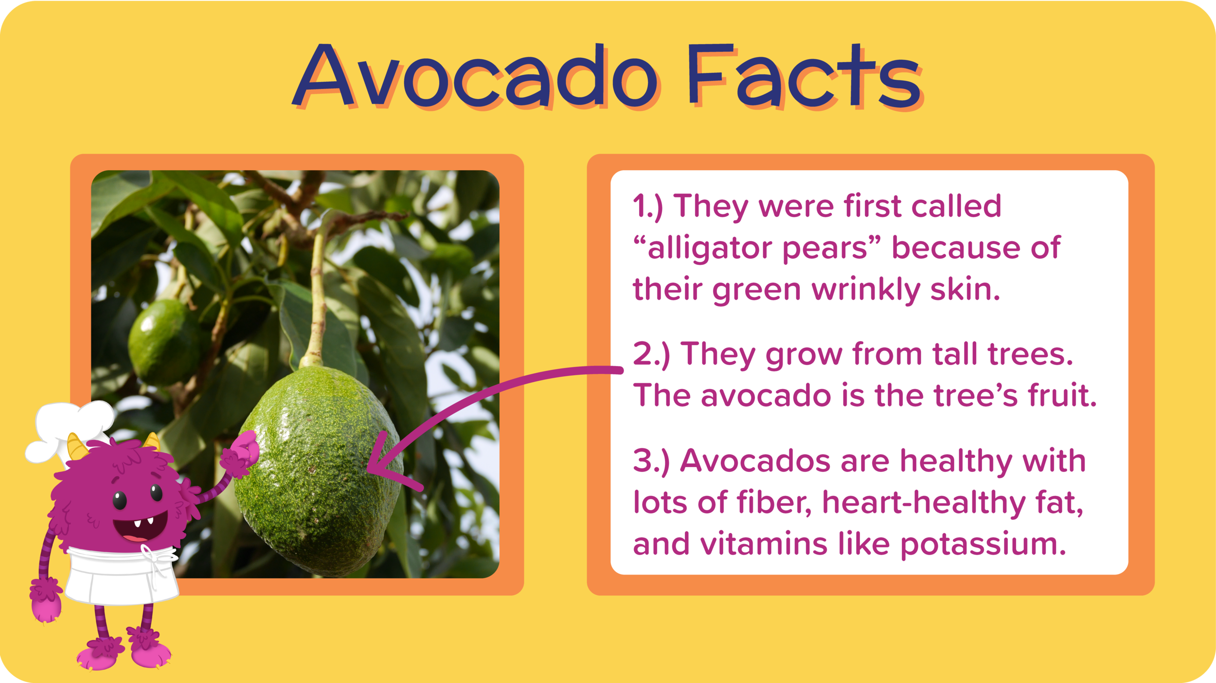 11_GreatGreenGuacamole_all about avocado-01.png