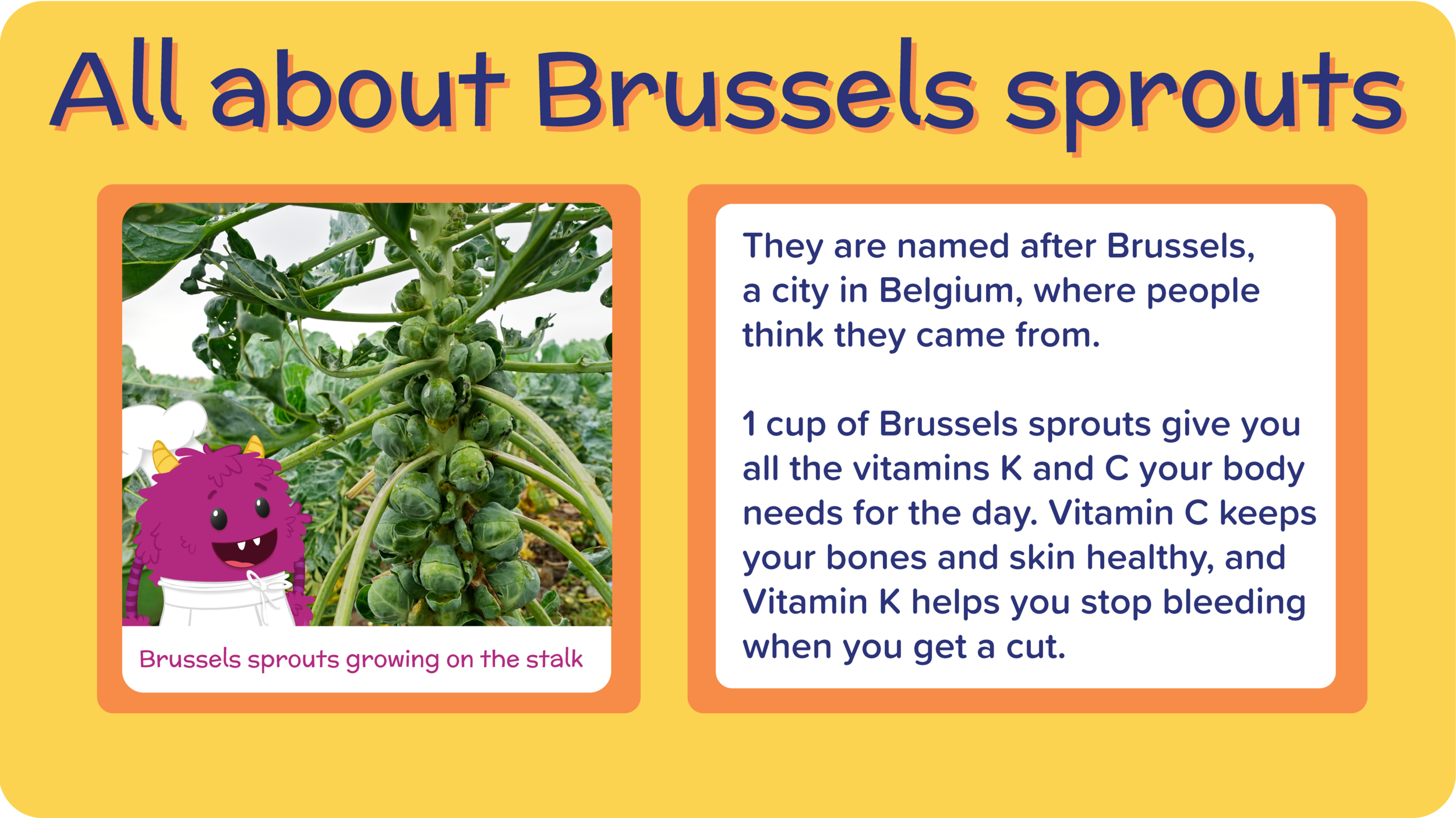 10_ChickenFingersButternutBrussels_all about brussels-01.png