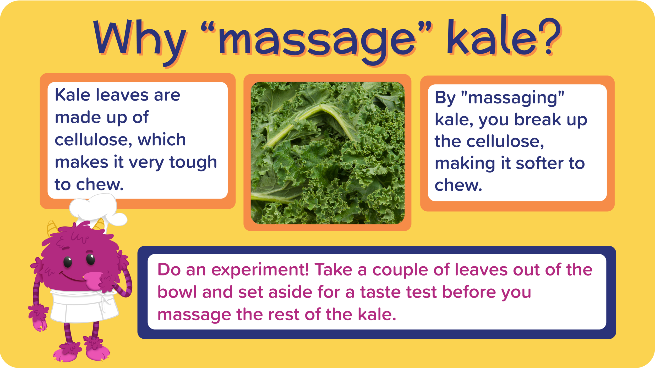 11_SpicyTacoKaleChips_why massaging kale-01.png