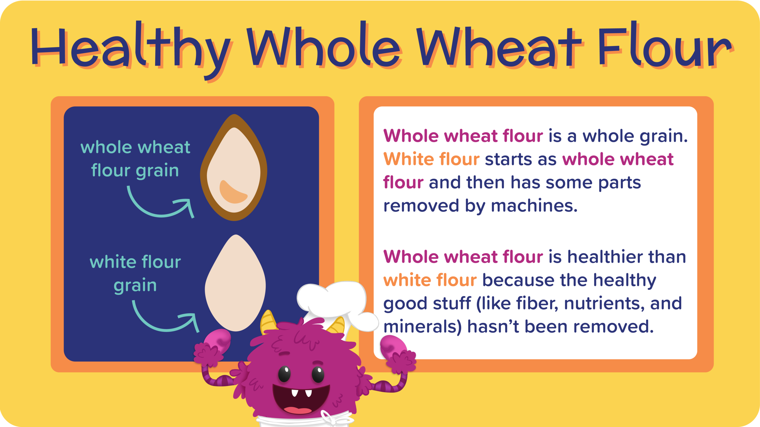 20_WholeWheatWaffle_aboutWholeWheatFlour-01.png