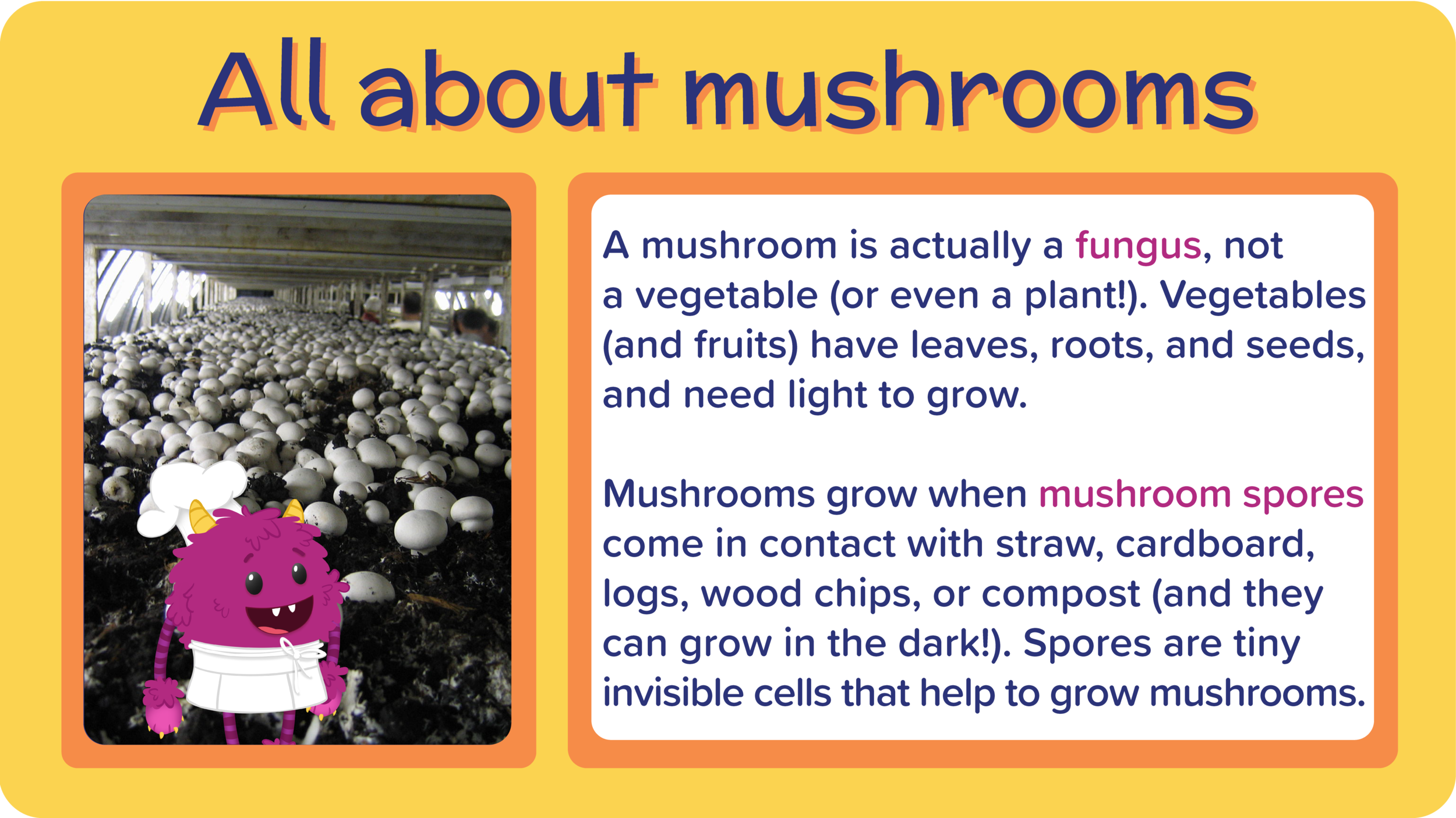 10_AlmondPestoGreenBeansAndMushroom_All About Mushrooms-01.png