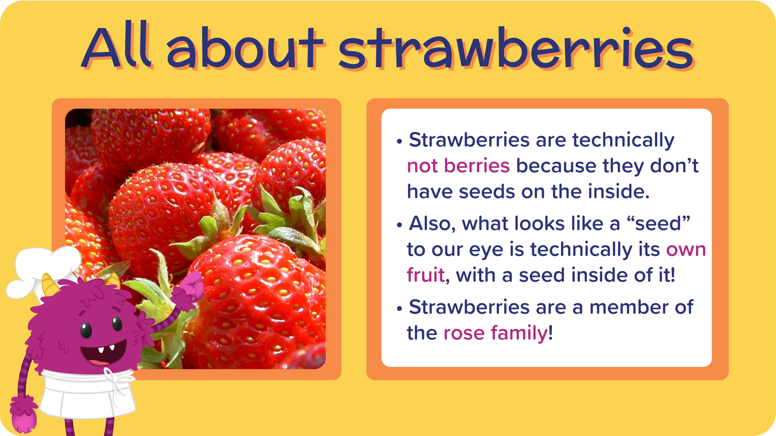 16_PB_JBuritto_AllAboutStrawberries-01.png