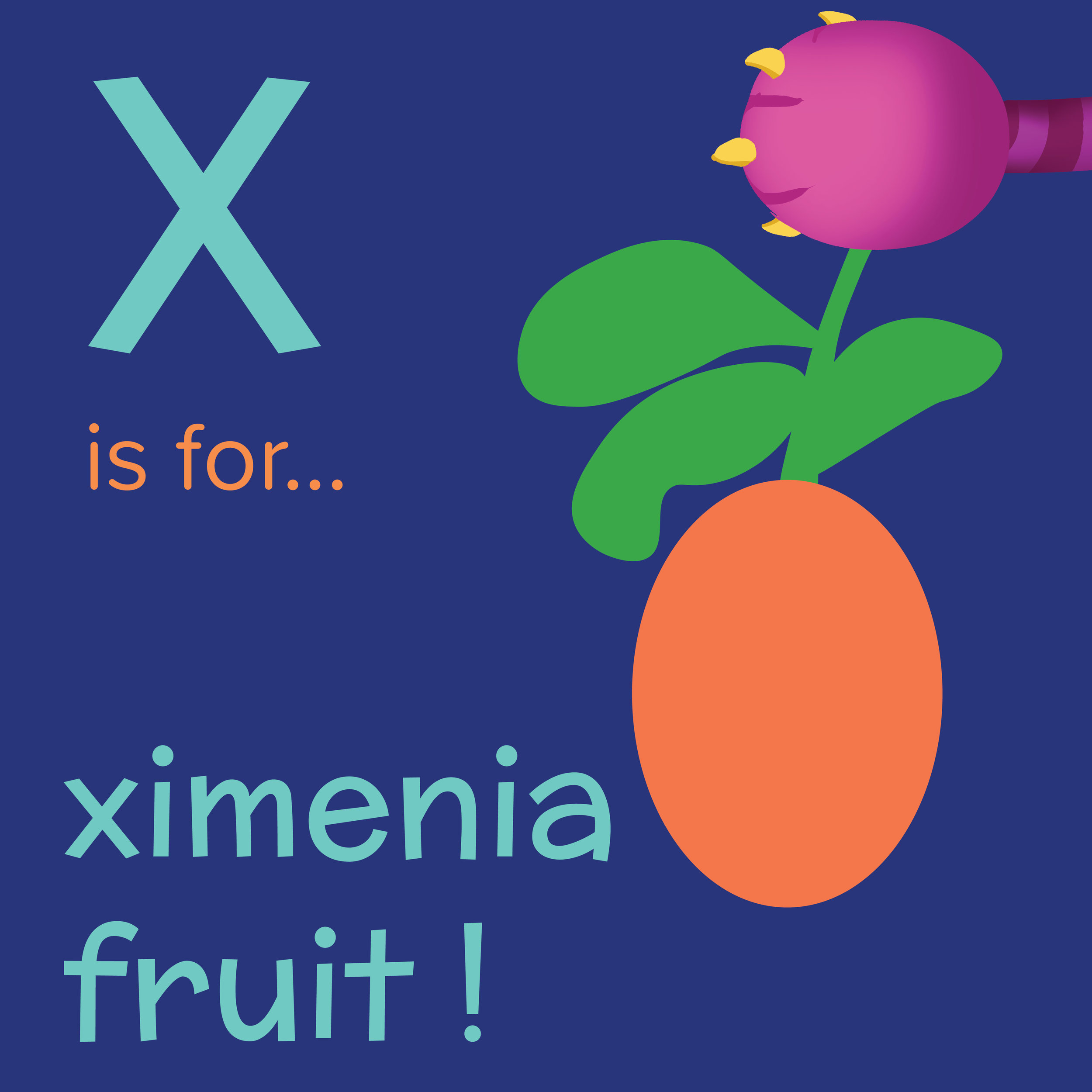 Foods that start with X, X is for ximenia fruit, foods beginning with the letter x, recipes starting with x, recipes a to z