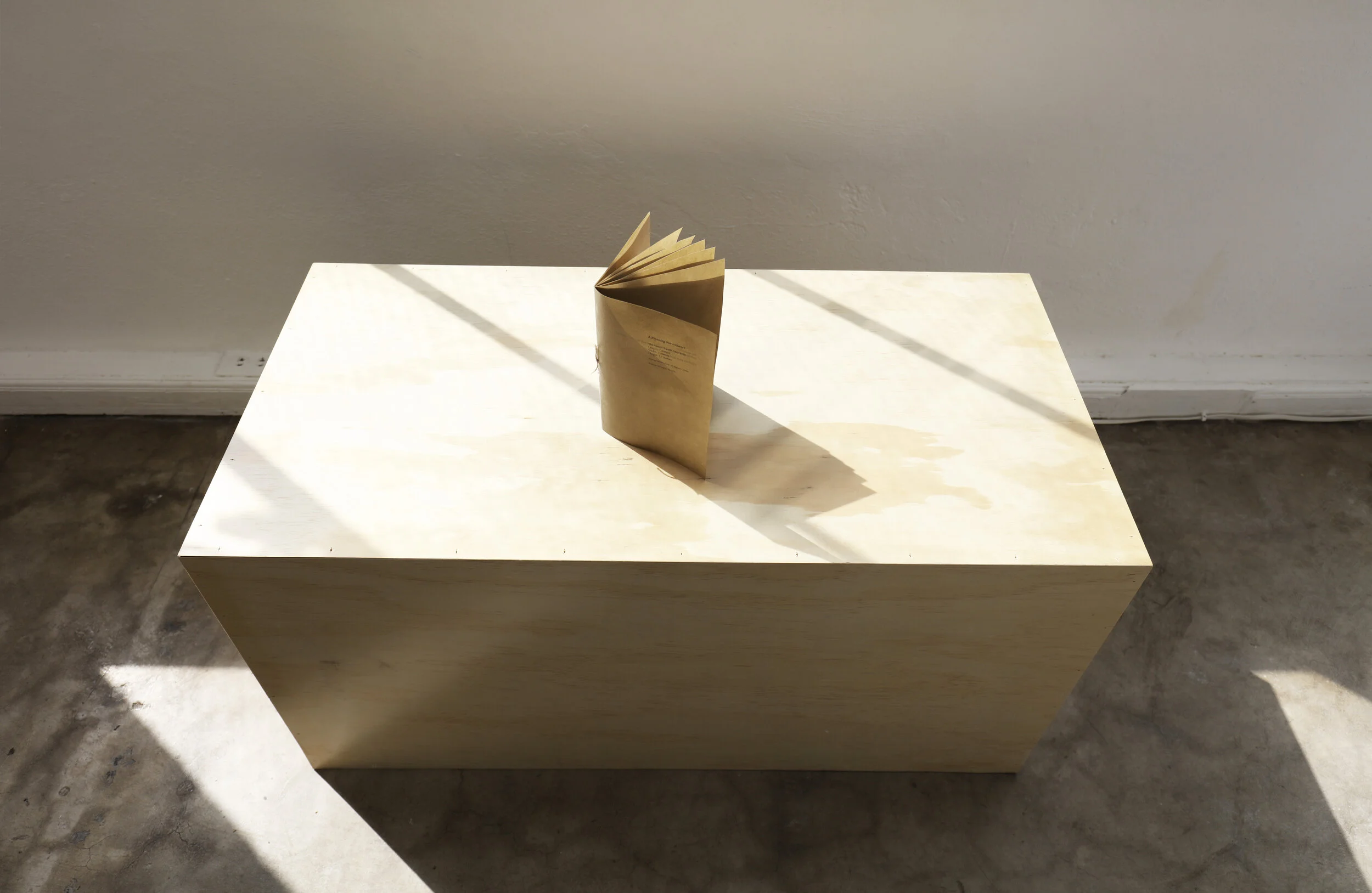 Phoebe Cummings CUT AB Projects 7.jpg