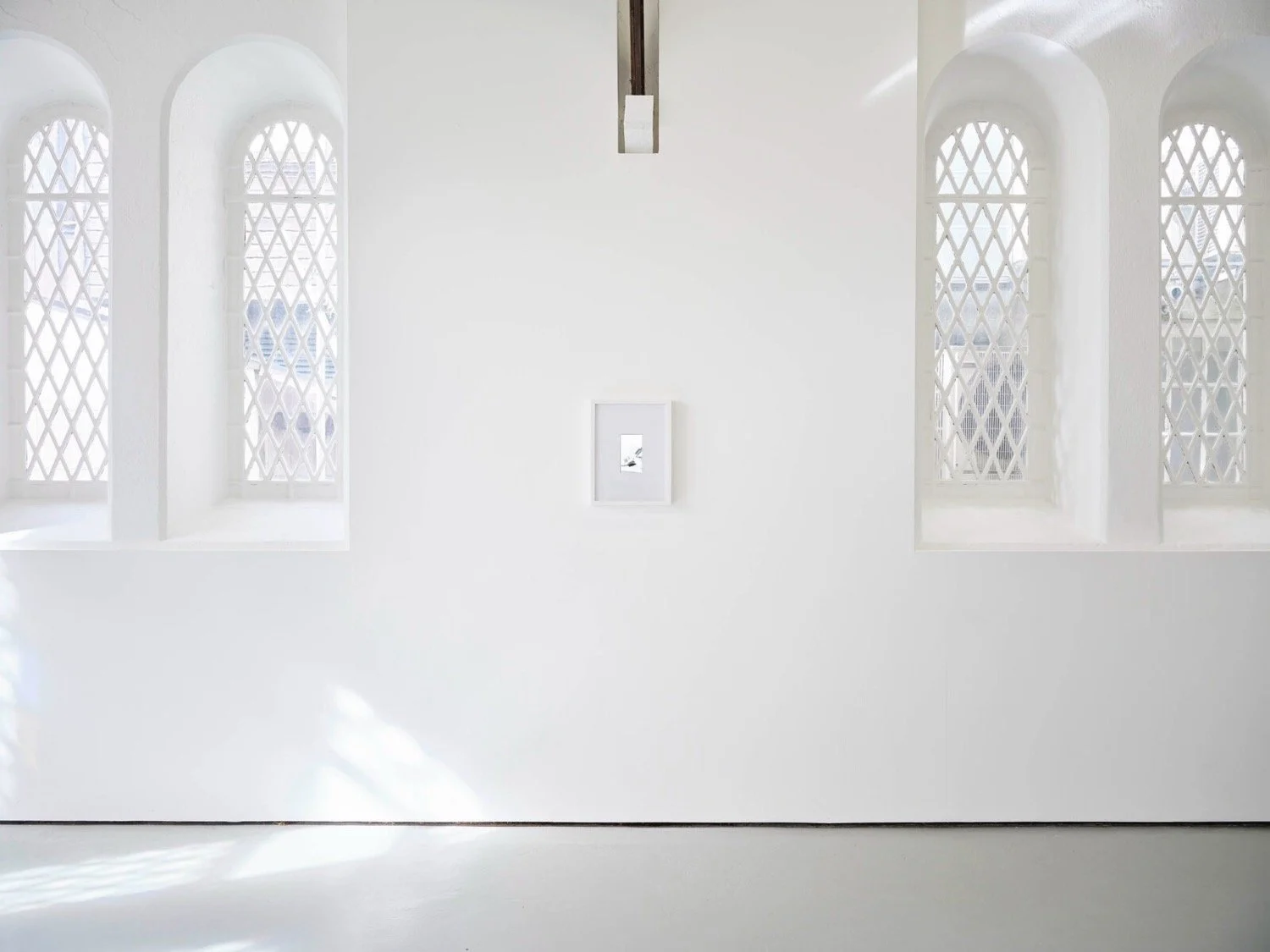 Towards a flower (single channel video) Lismore Castle Arts, Cork, 2023