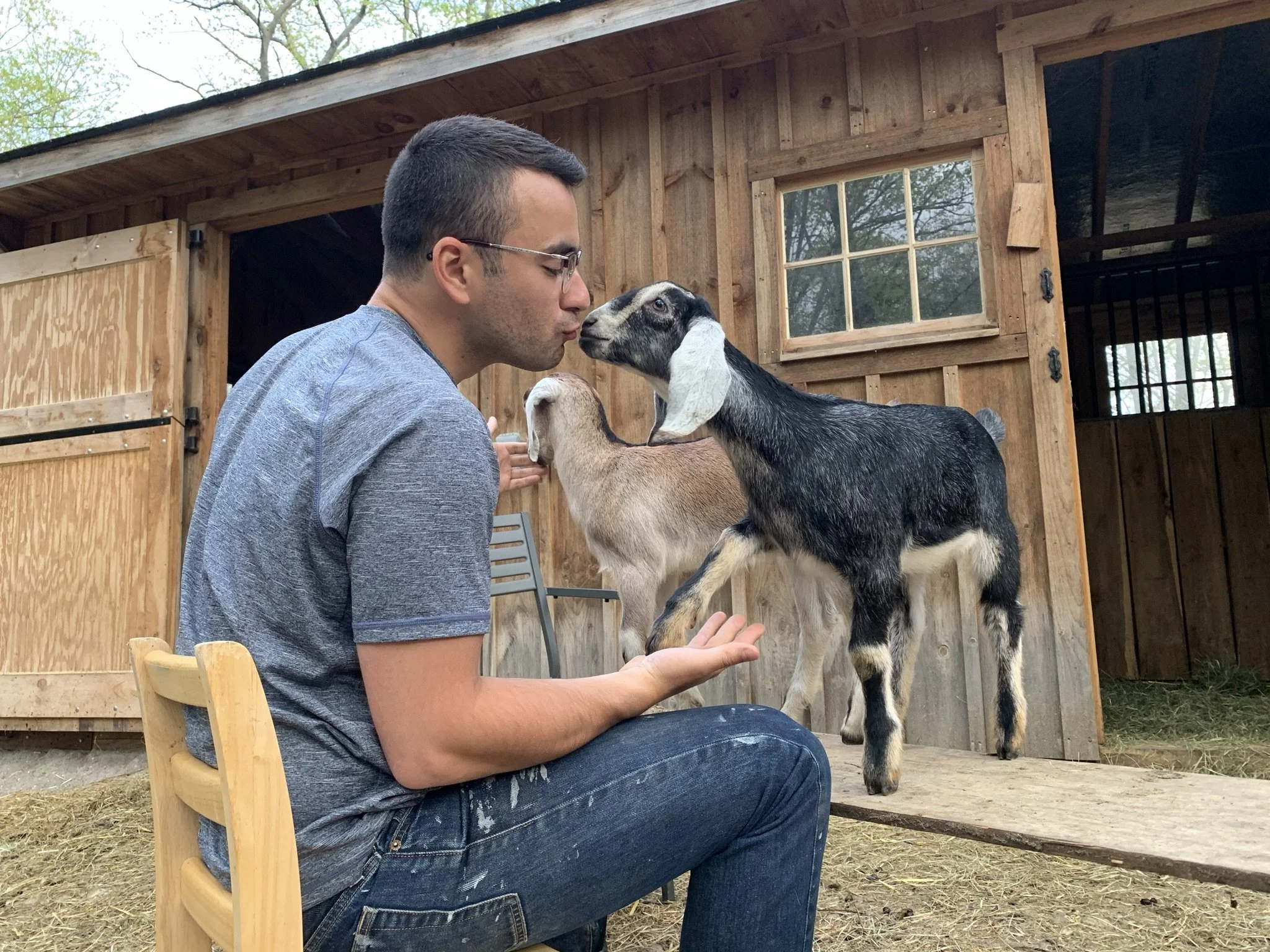 Frankie Goat - Tina Glusac.JPEG