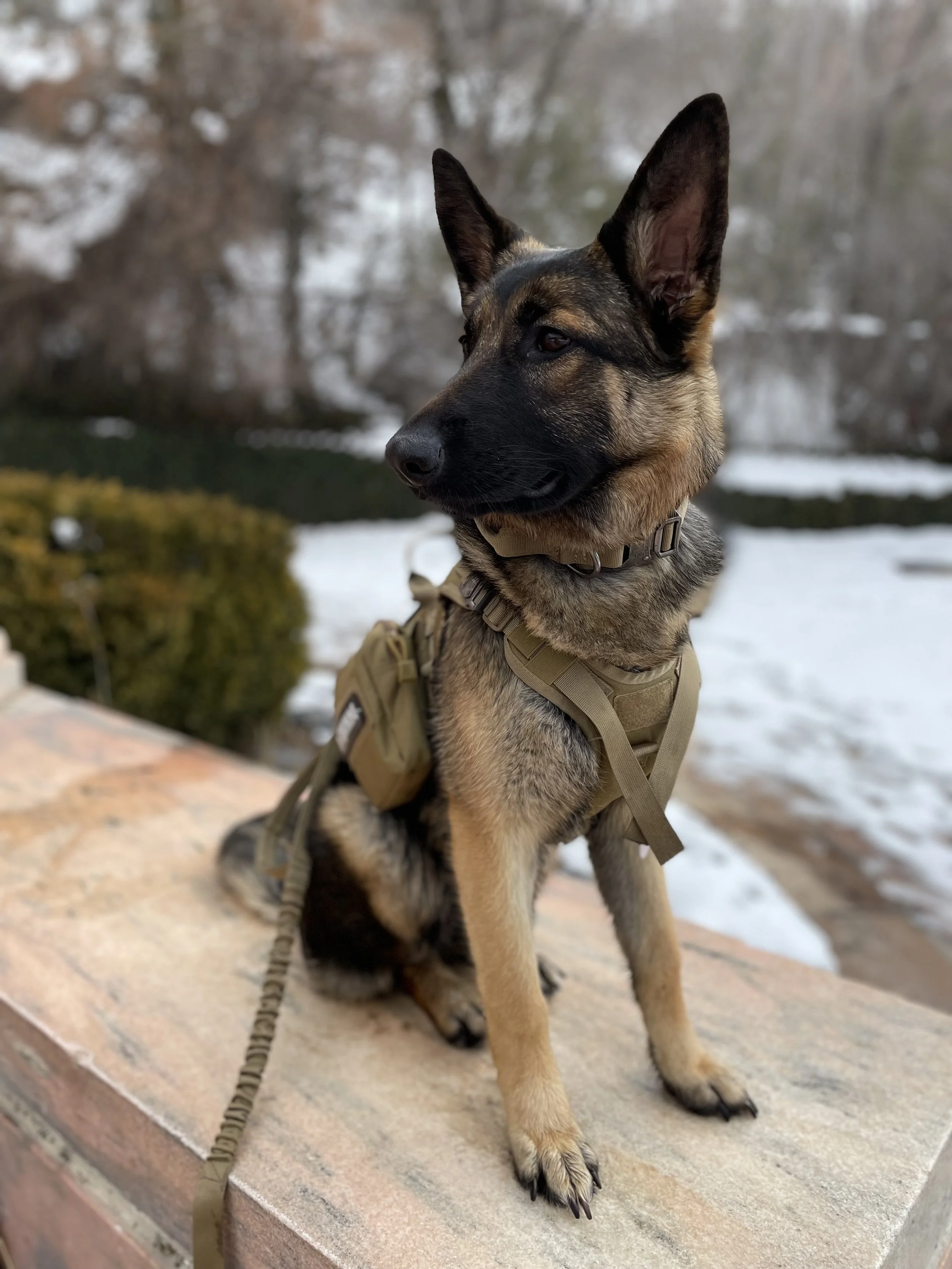 IMG_9733 - Andrew Jones.jpeg