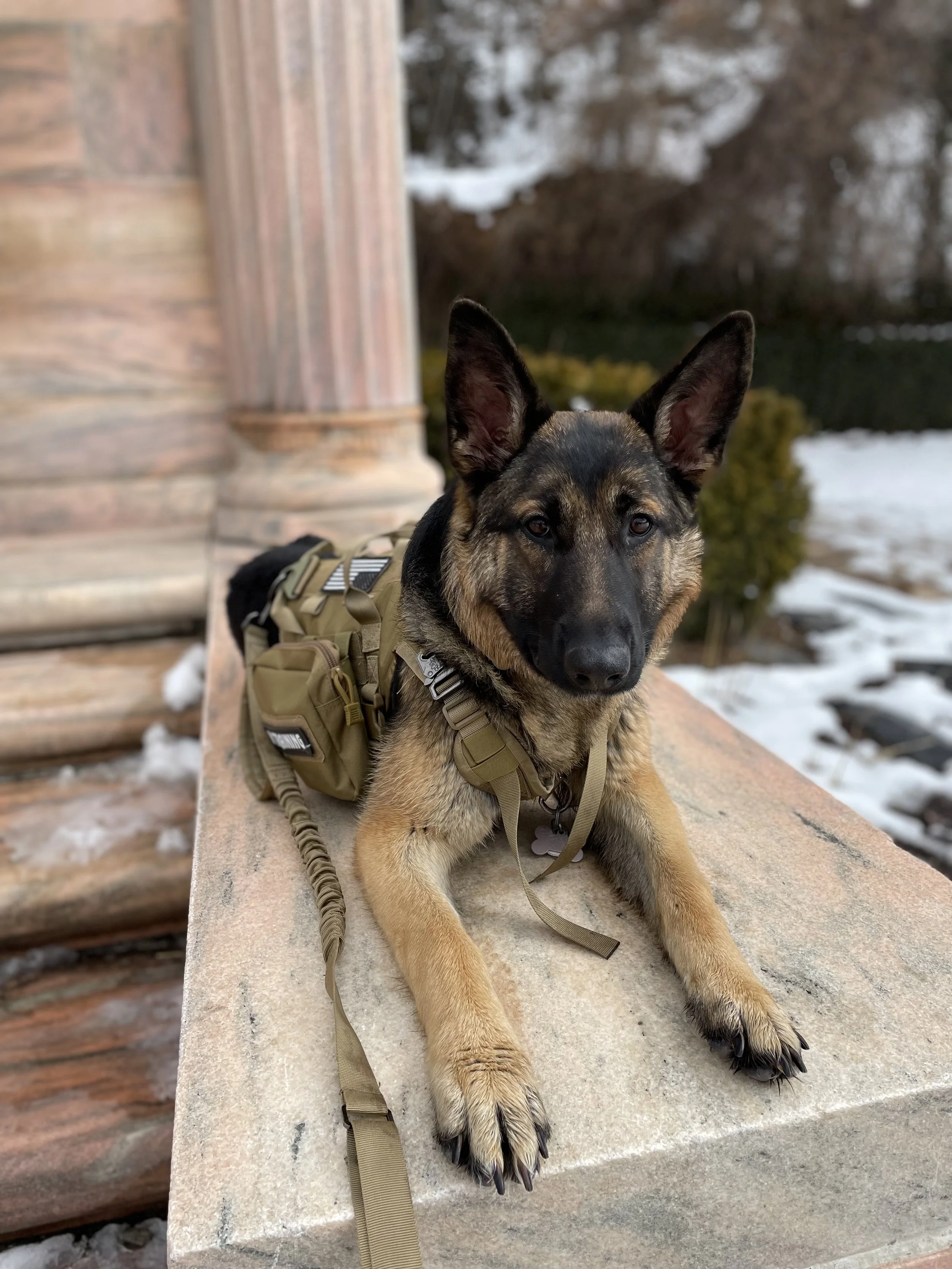 IMG_9729 - Andrew Jones.jpeg