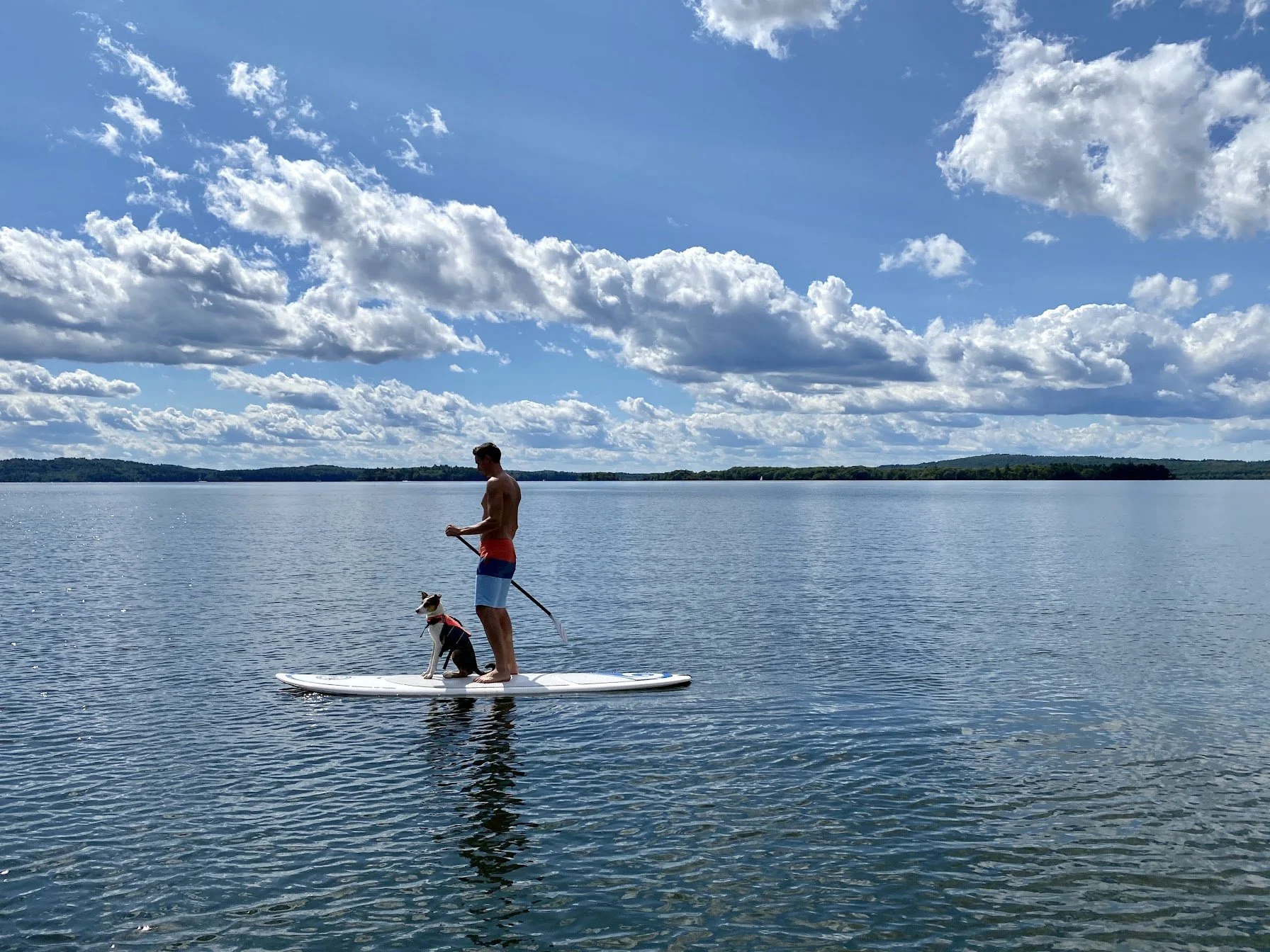 Max and Kona paddleboard - Max HoddWells.jpg