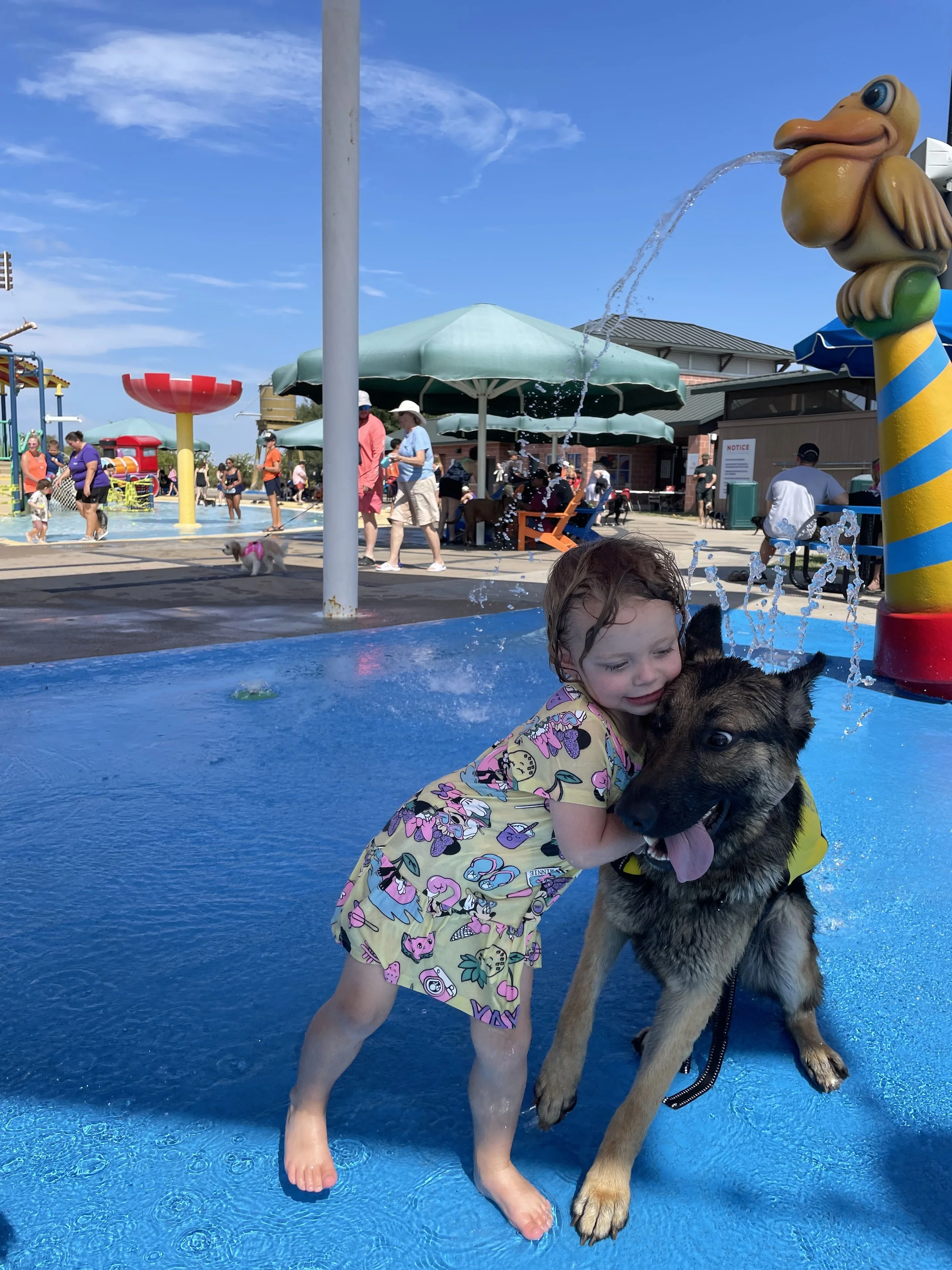 IMG_0329 - Andrew Jones.jpeg