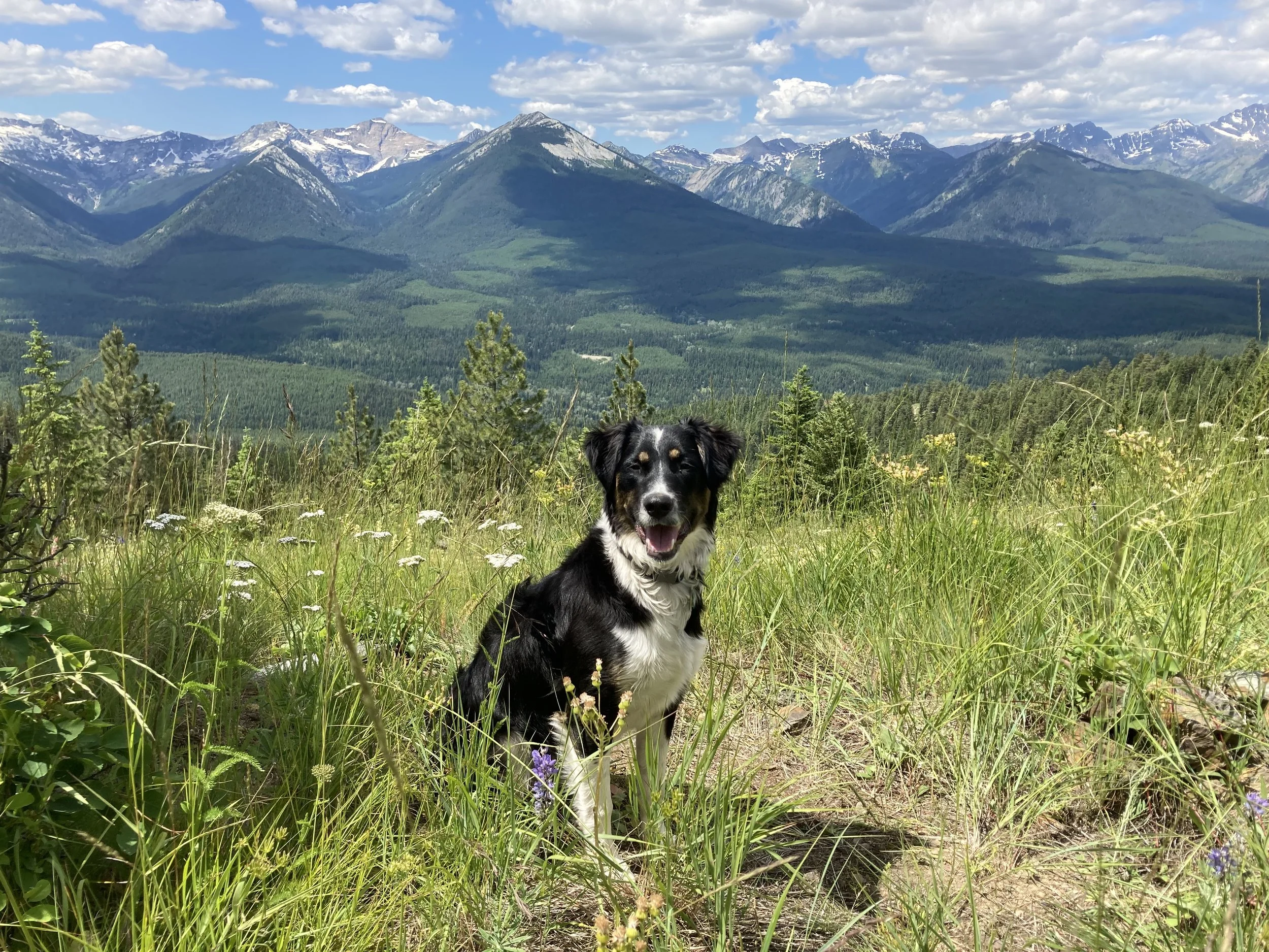 IMG_3282 - Ryan Demmendaal.jpeg