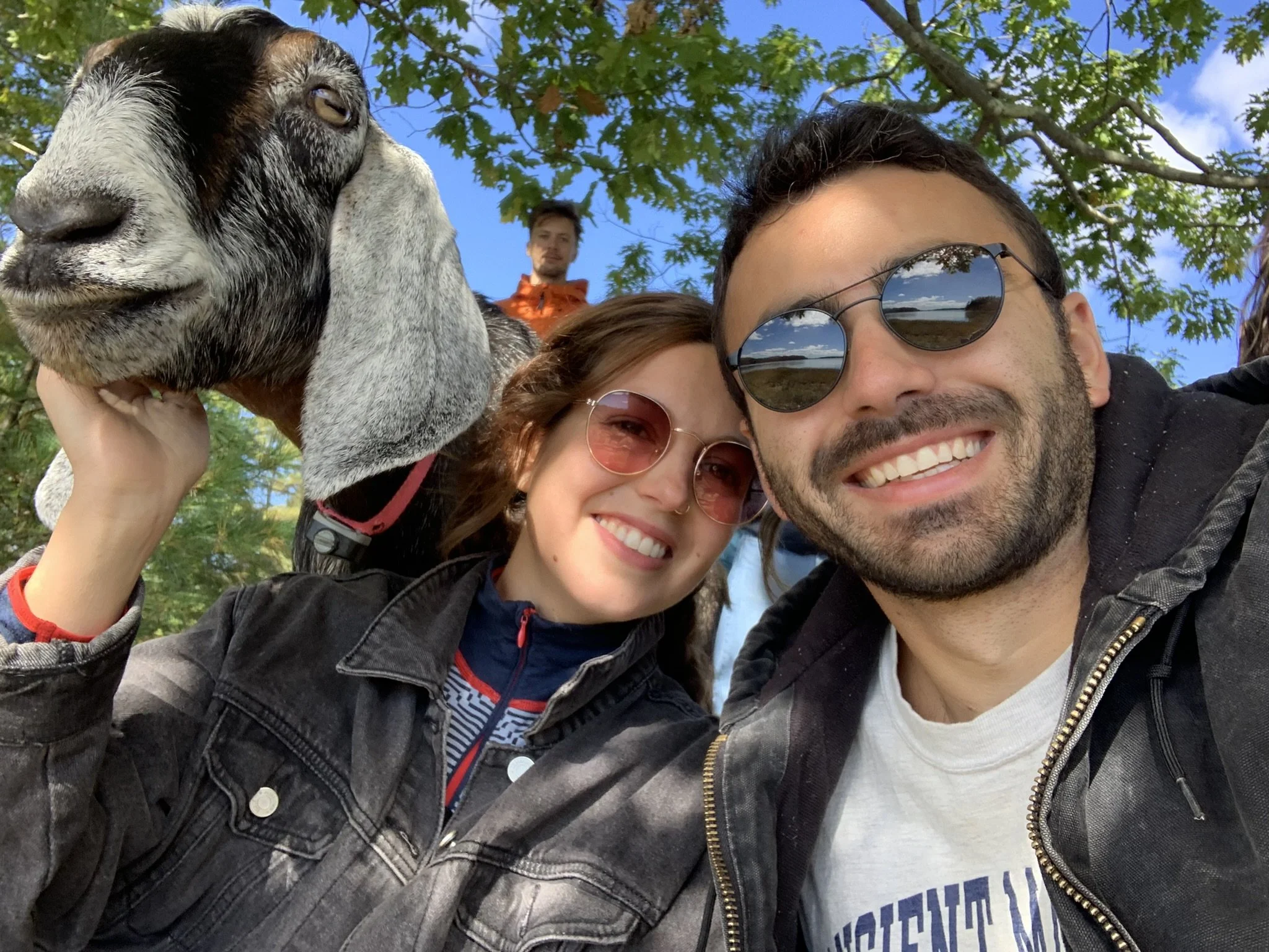 Frankie Tina - Tina Glusac.JPEG