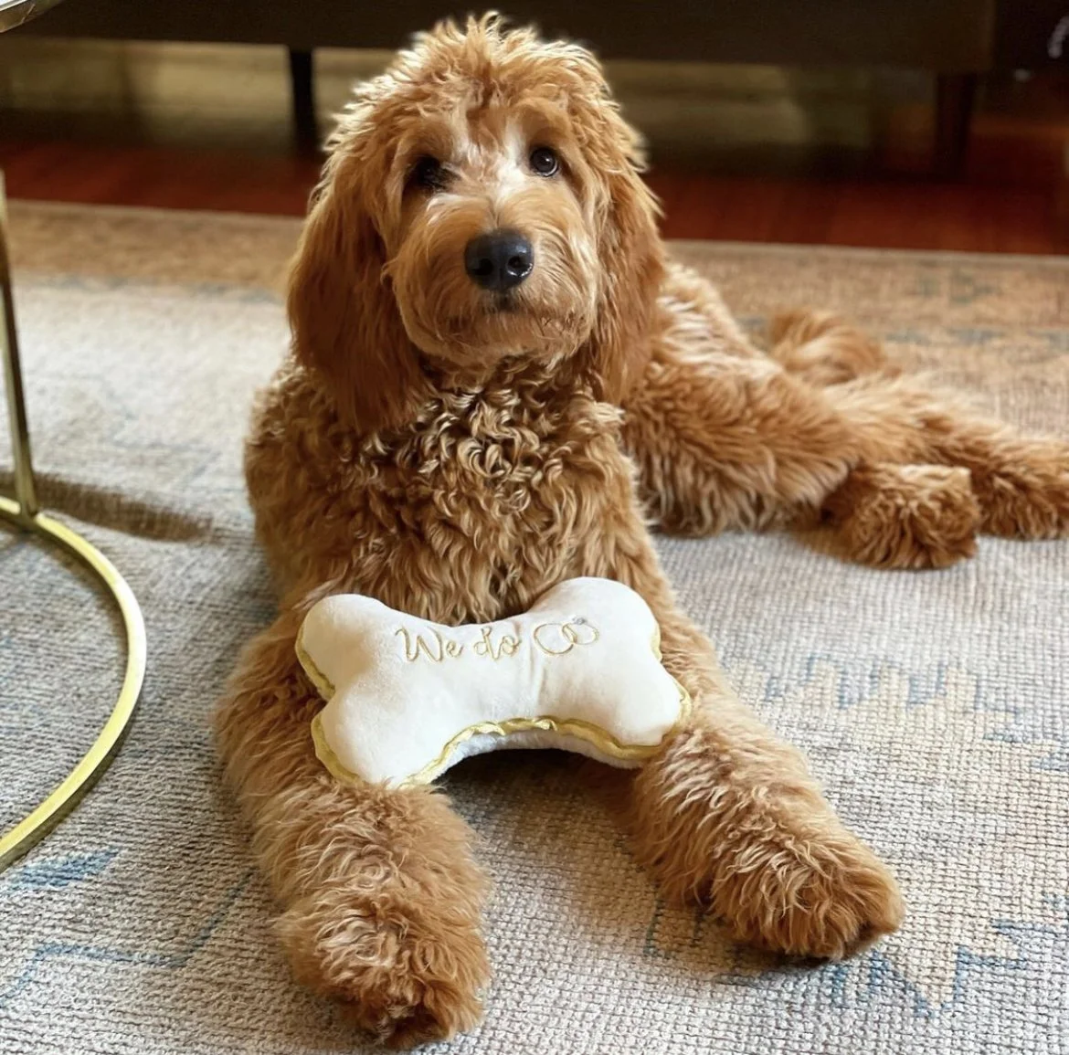 Hugo 4 - Tim Fleming - S. Timothy Fleming.jpg