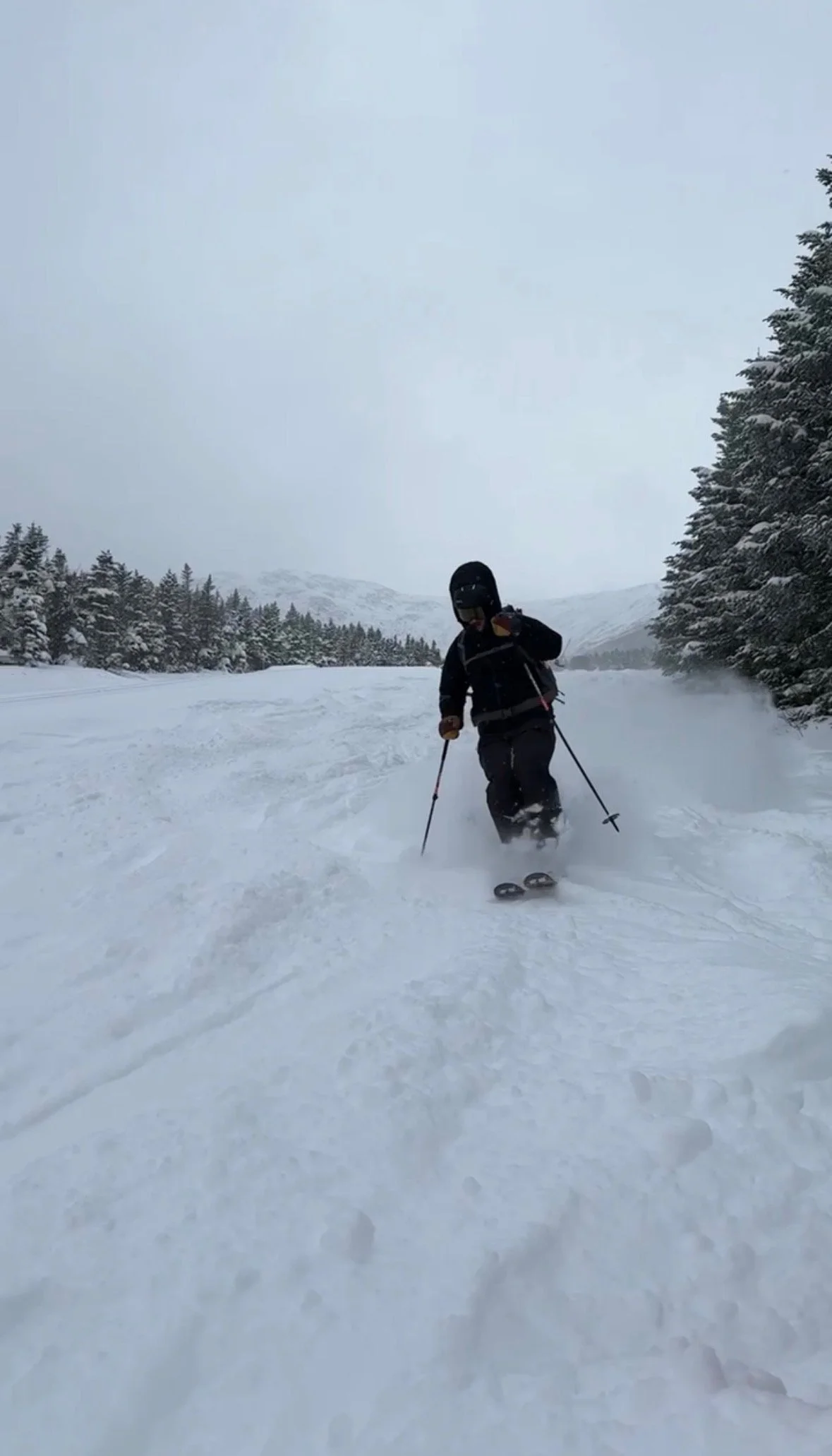 Auerbach Shredding Pow - Max Auerbach.jpeg