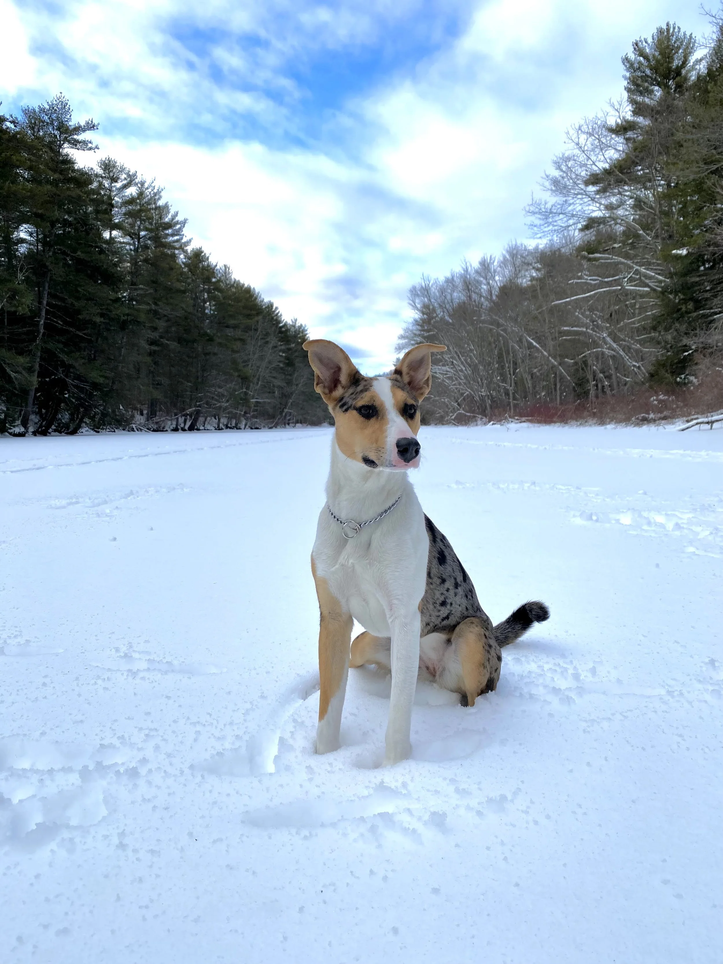 Max, Kona snow2 - Max HoddWells.jpg