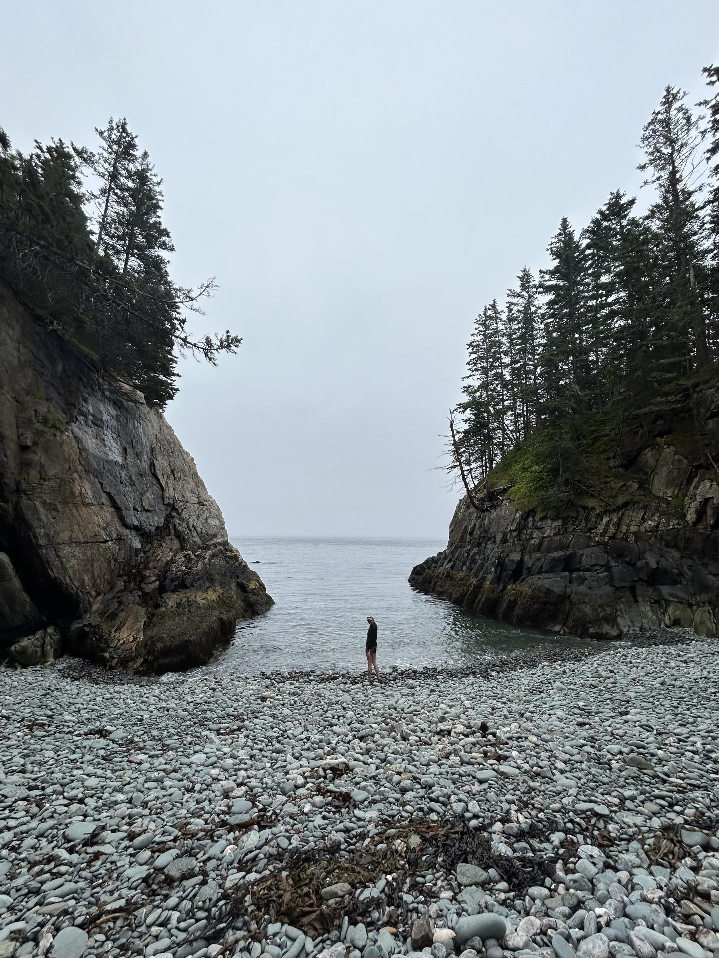 IMG_1949 - Alison Bryant.jpg