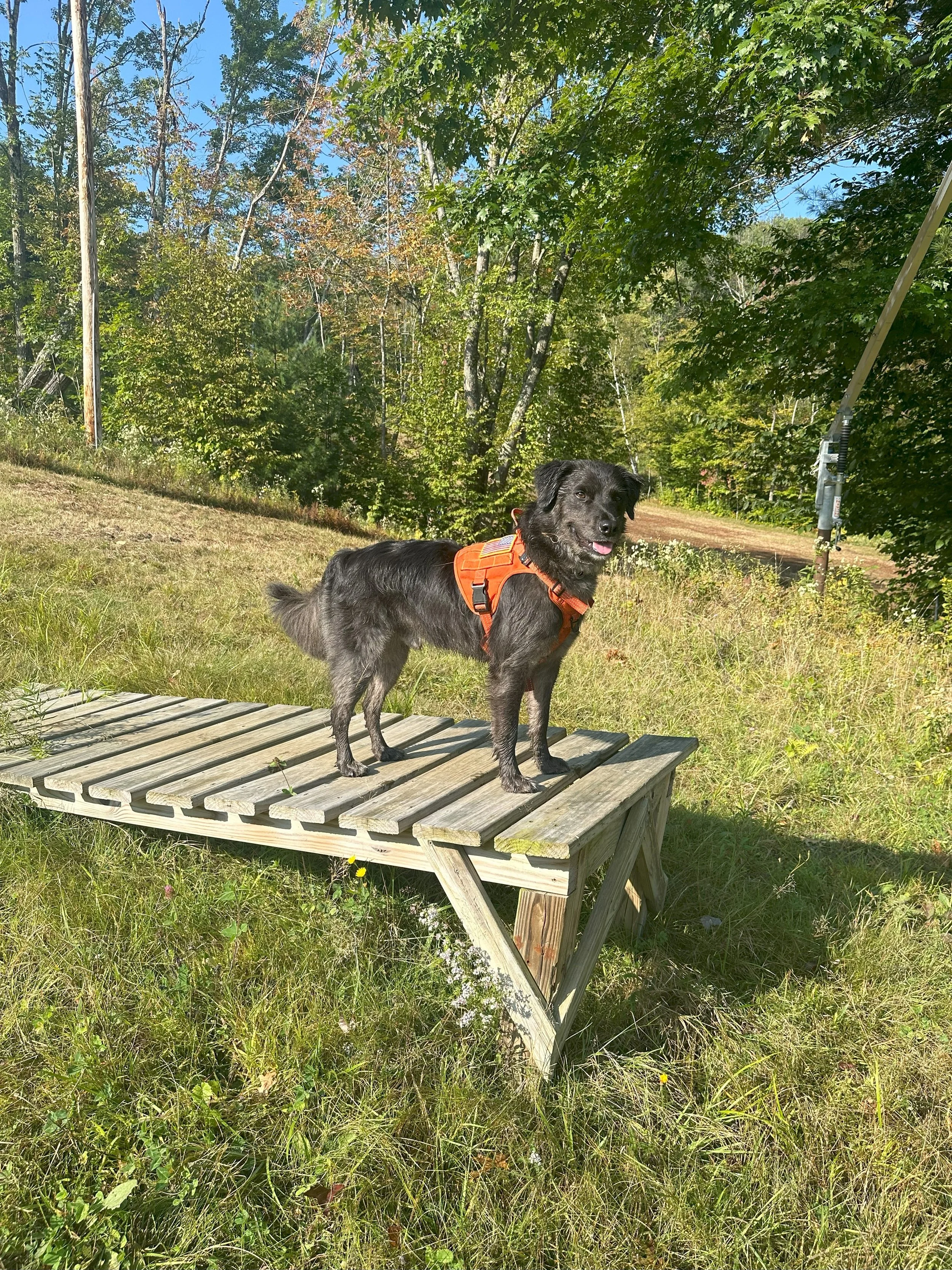 Indy_Clark_1 - Bradford Clark.jpeg